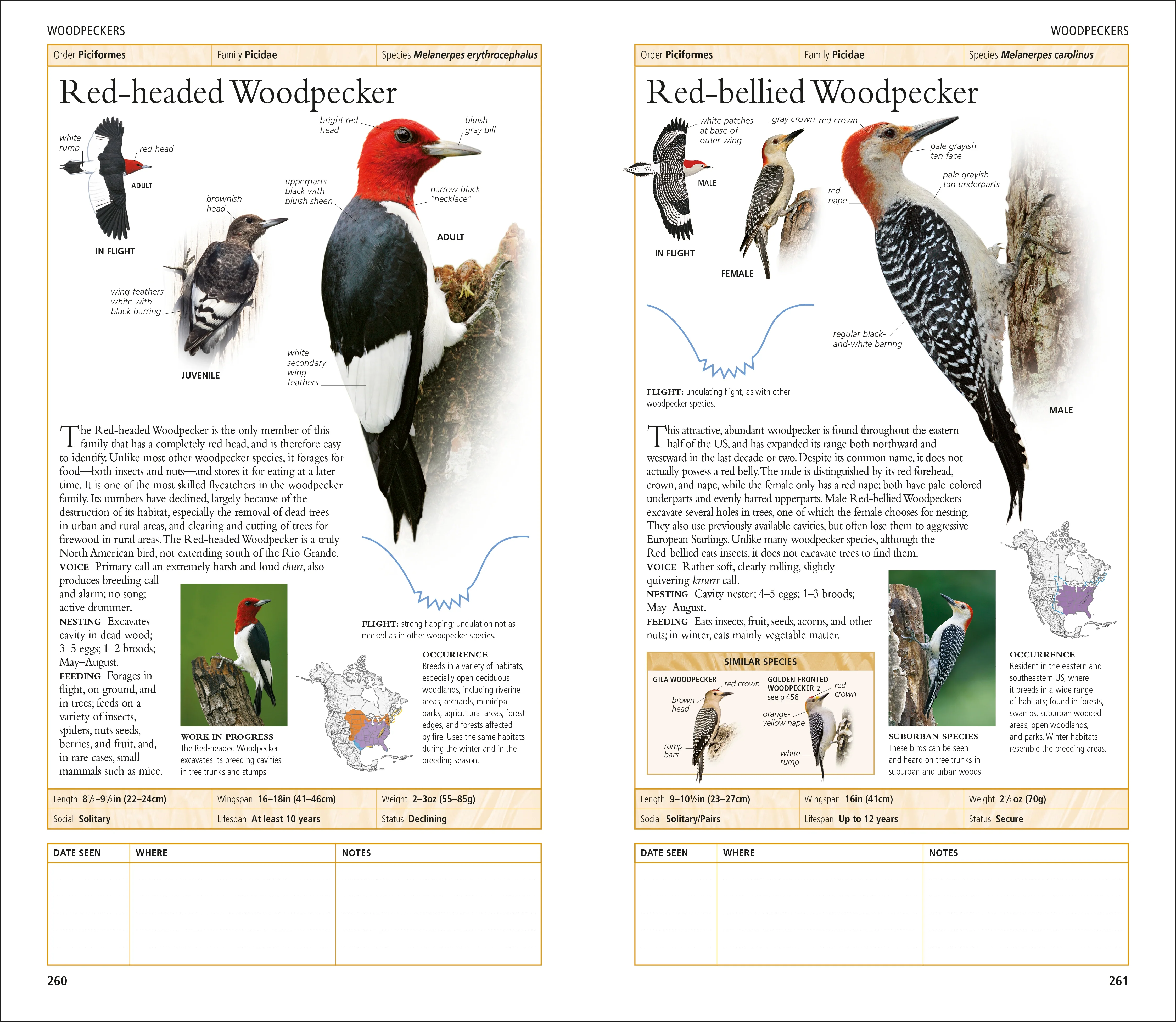 AMNH Birds of North America Eastern - Image 3