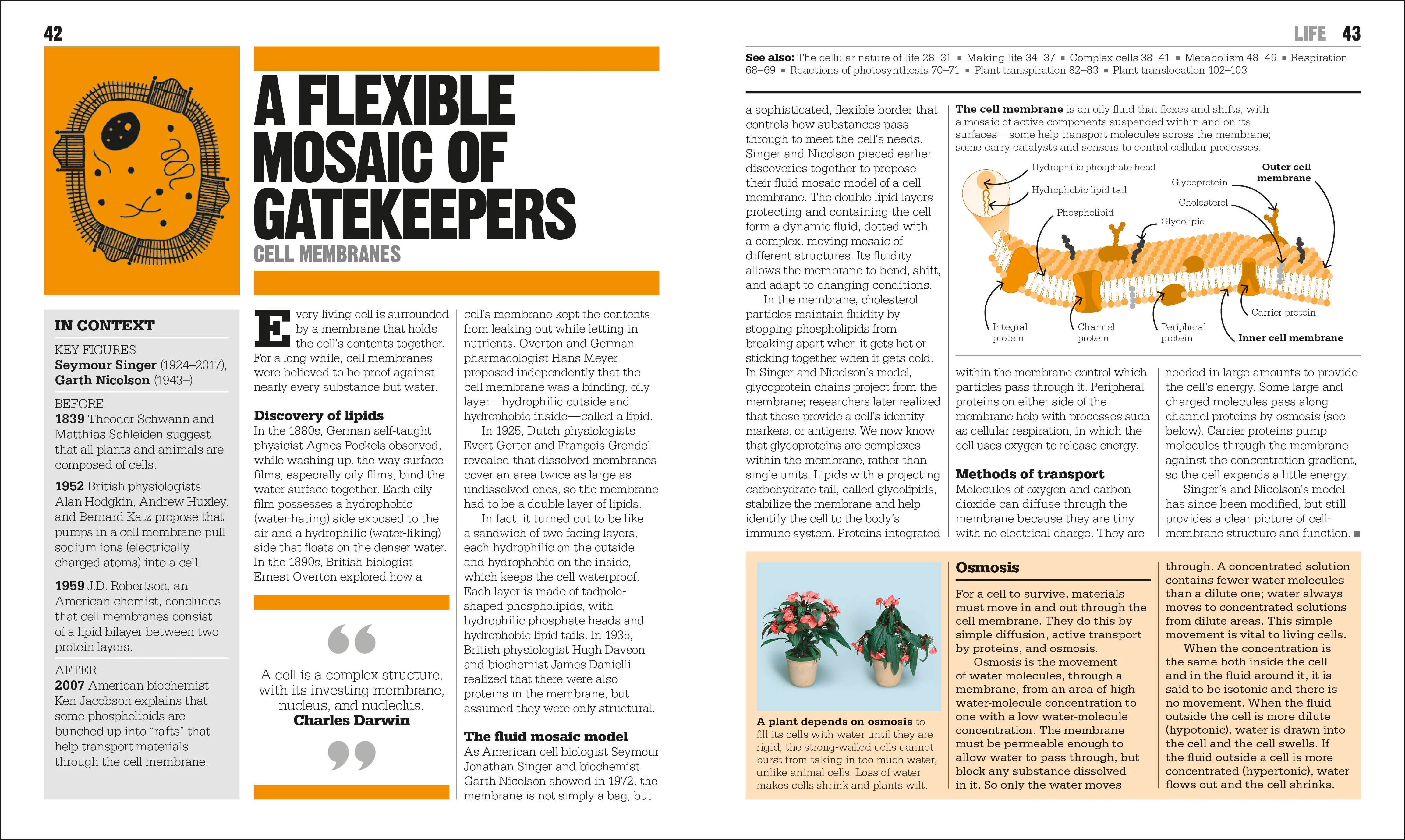 The Biology Book - Image 2