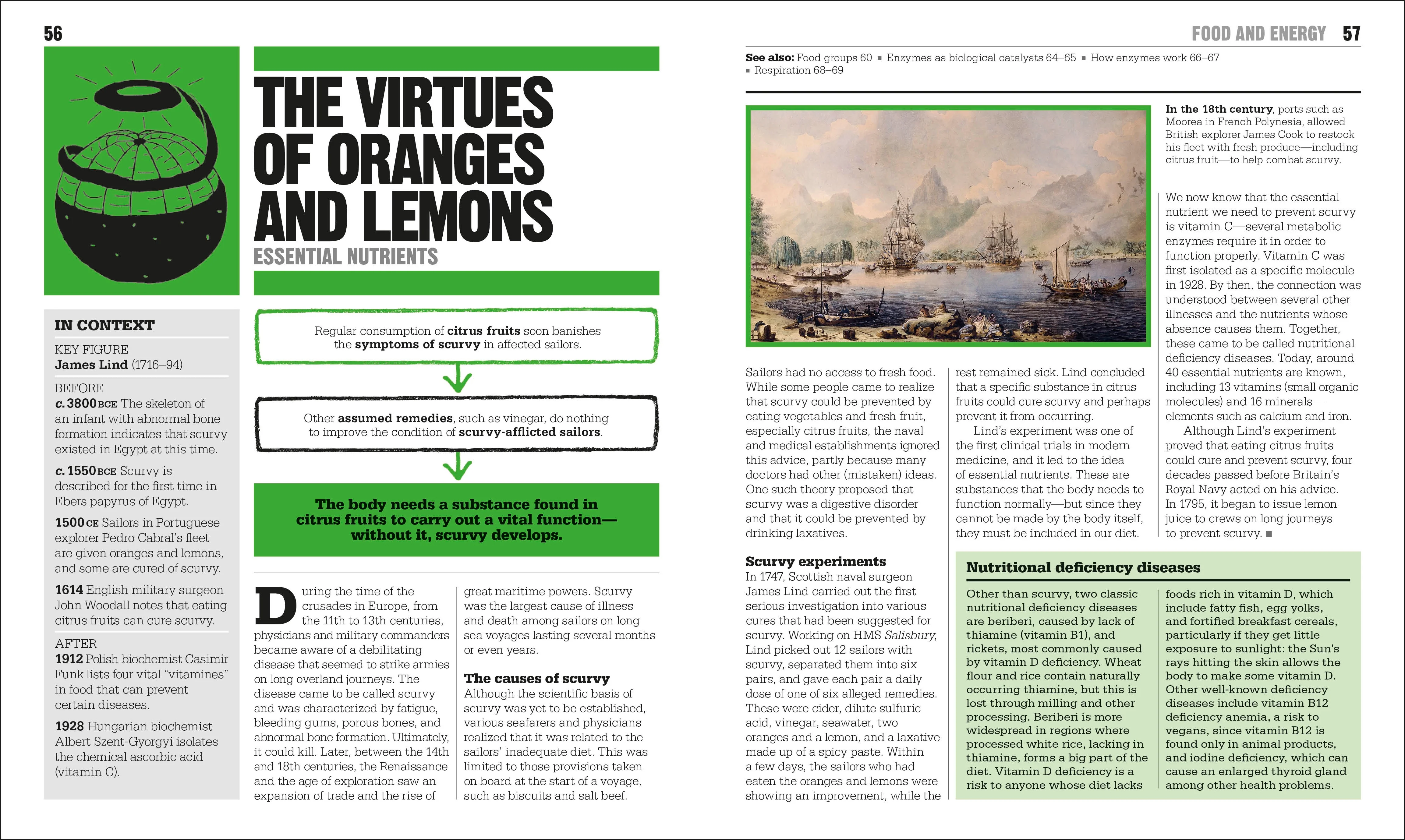 The Biology Book - Image 3