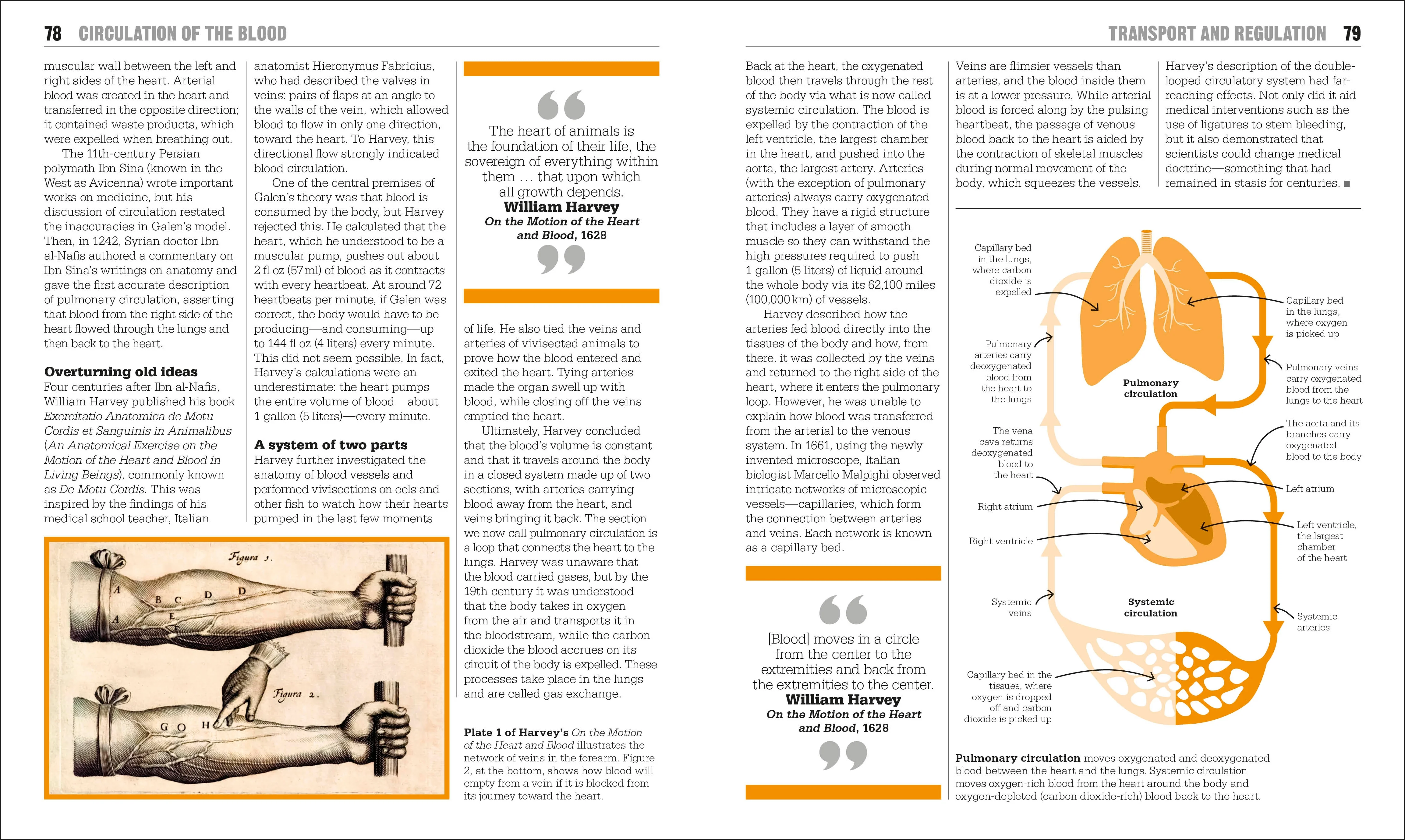 The Biology Book - Image 5