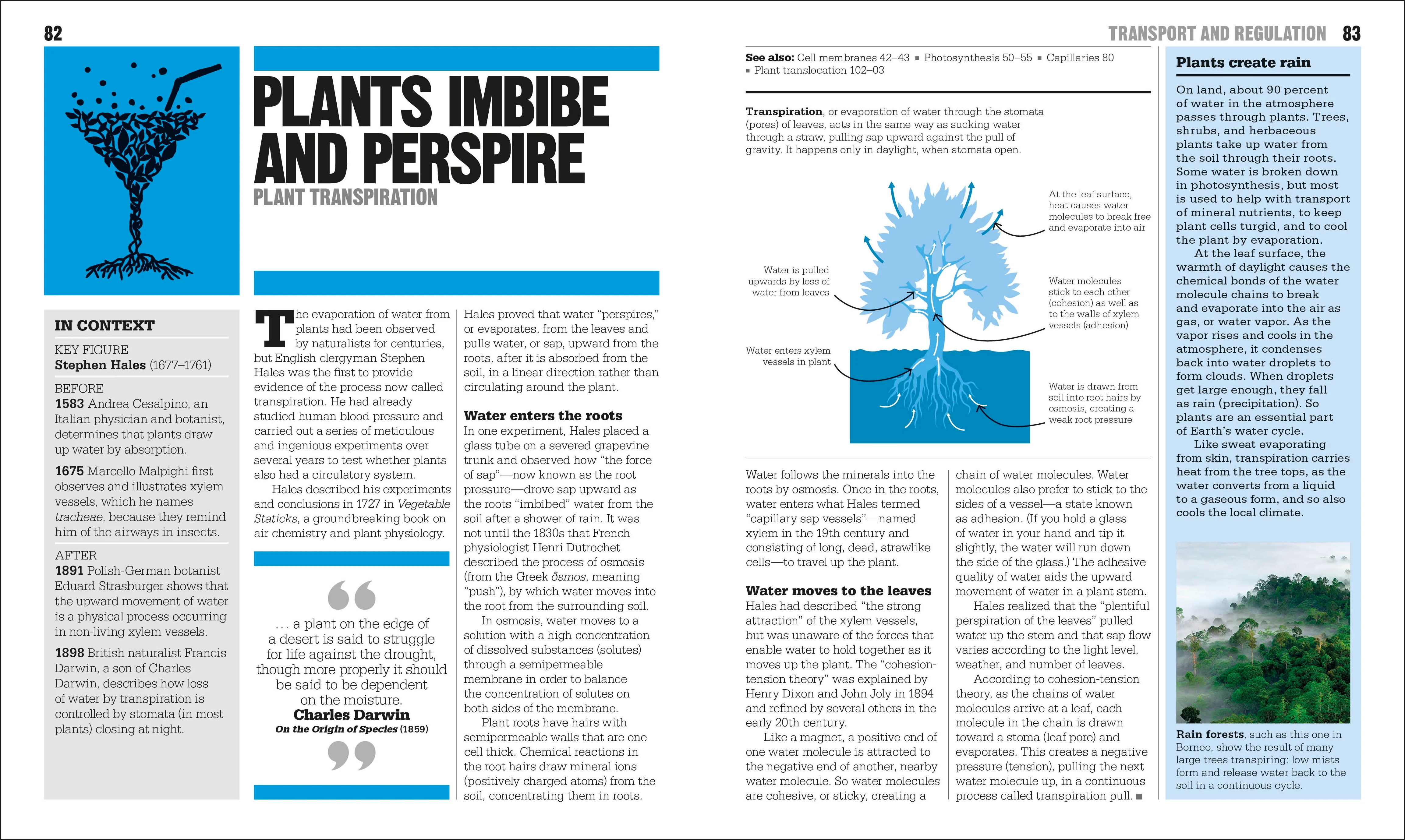 The Biology Book - Image 6