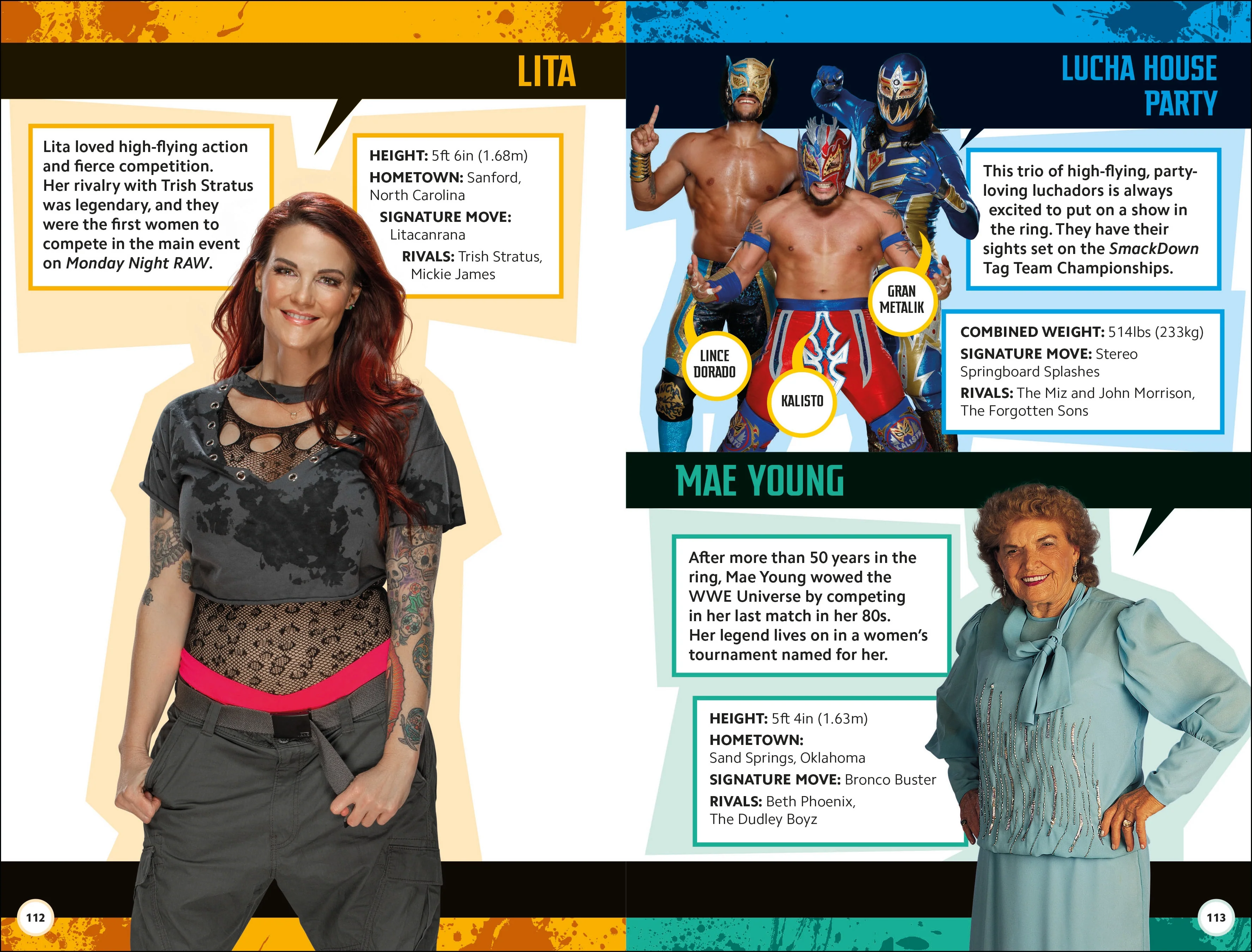 WWE Superstar Handbook - Image 6