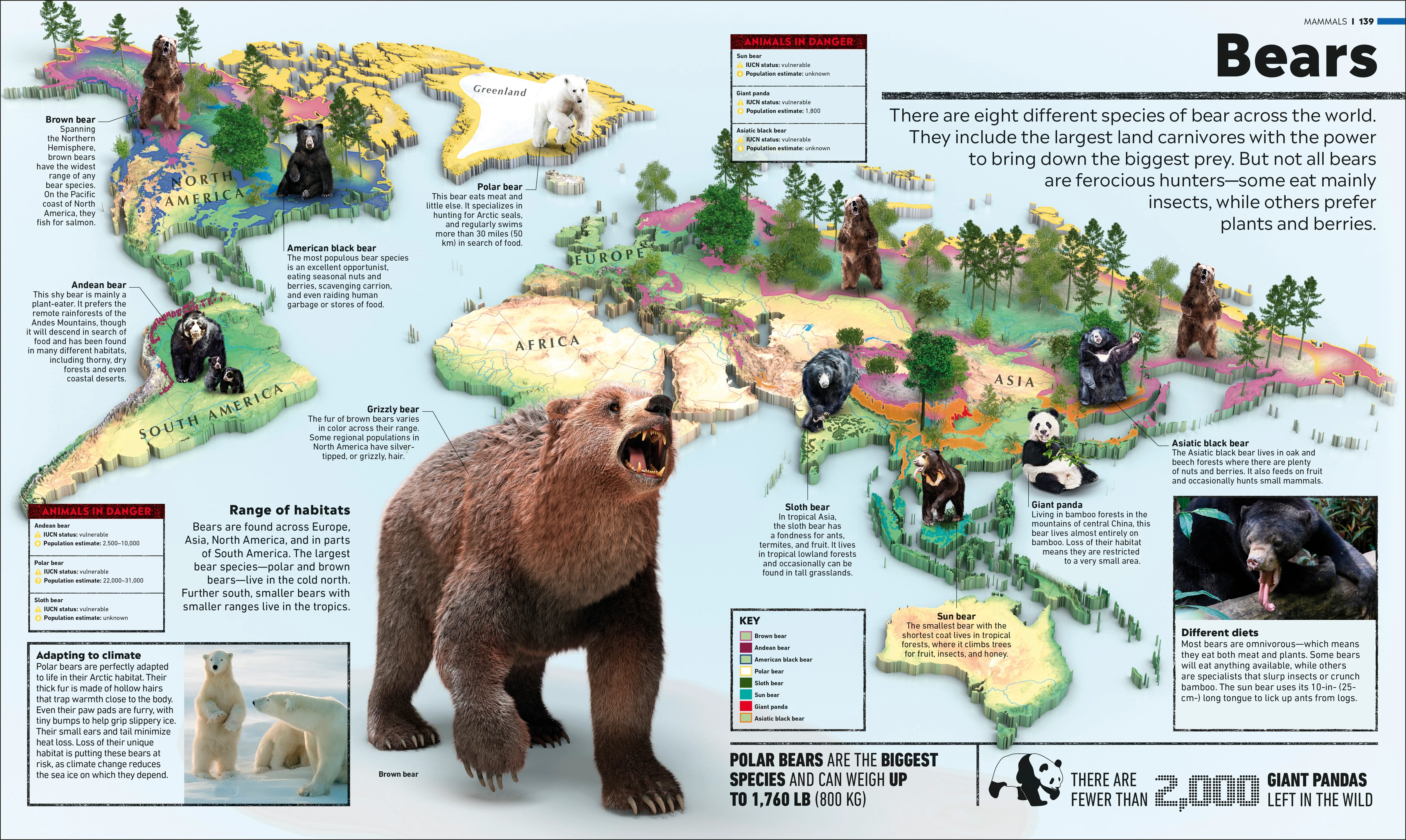 Animal Atlas - Image 5