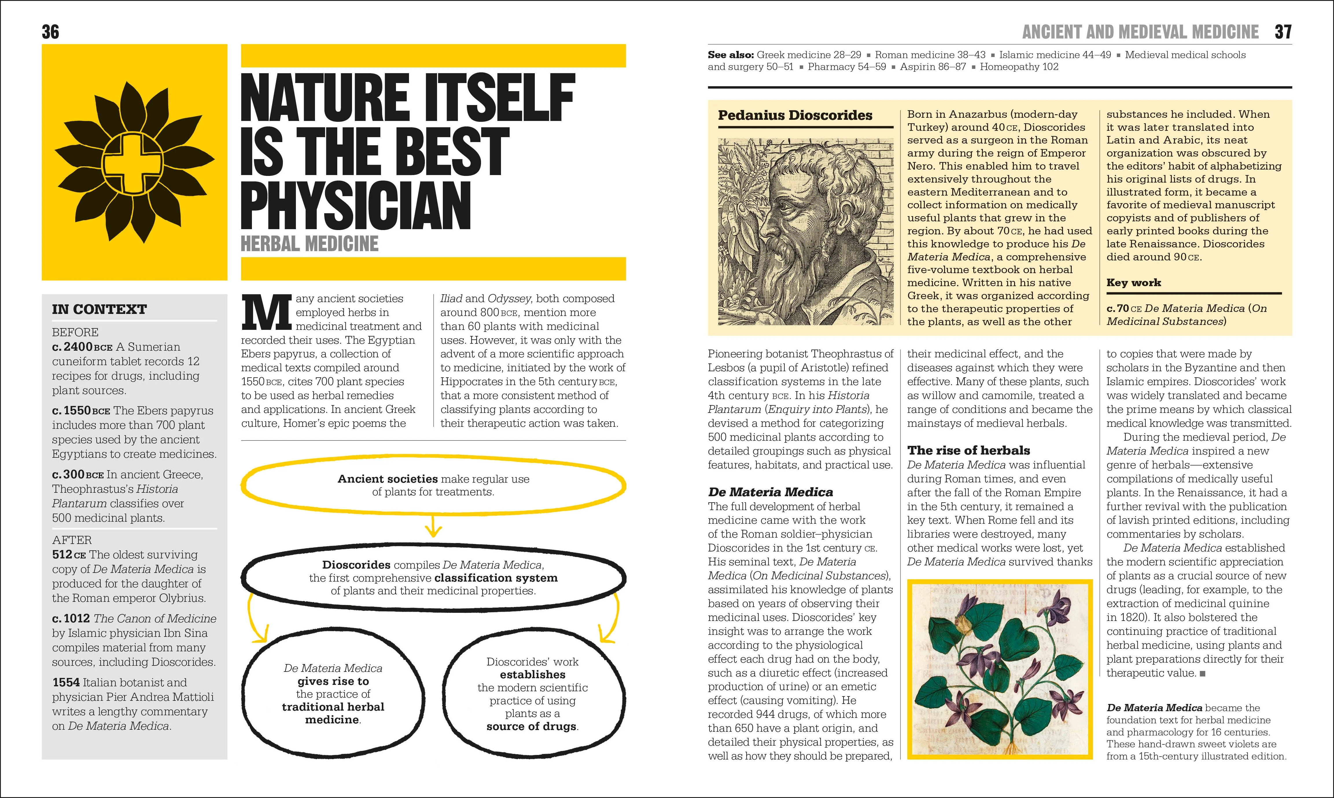 The Medicine Book - Image 3