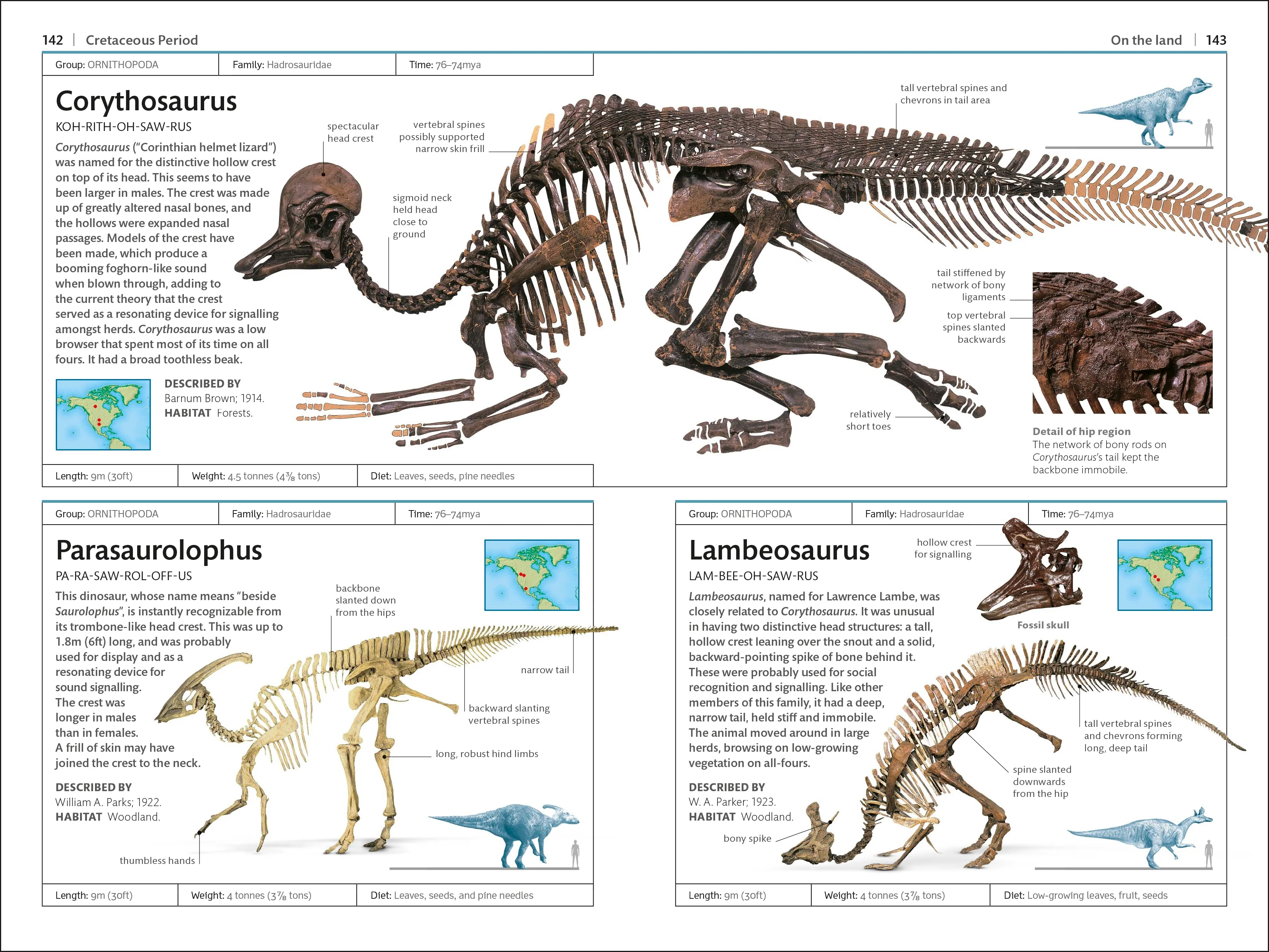 Dinosaurs and Other Prehistoric Life - Image 3