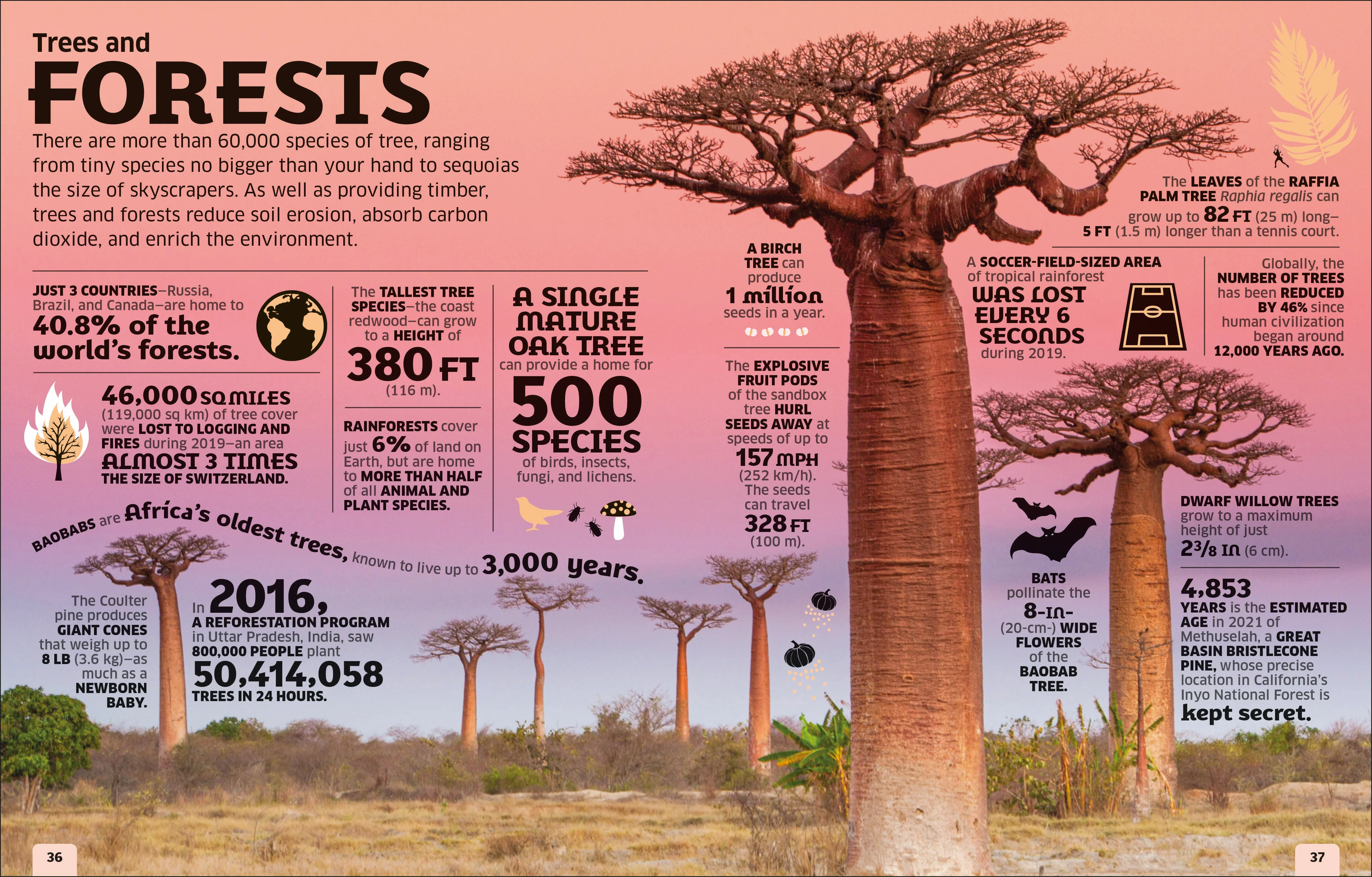 Our World in Numbers - Image 2