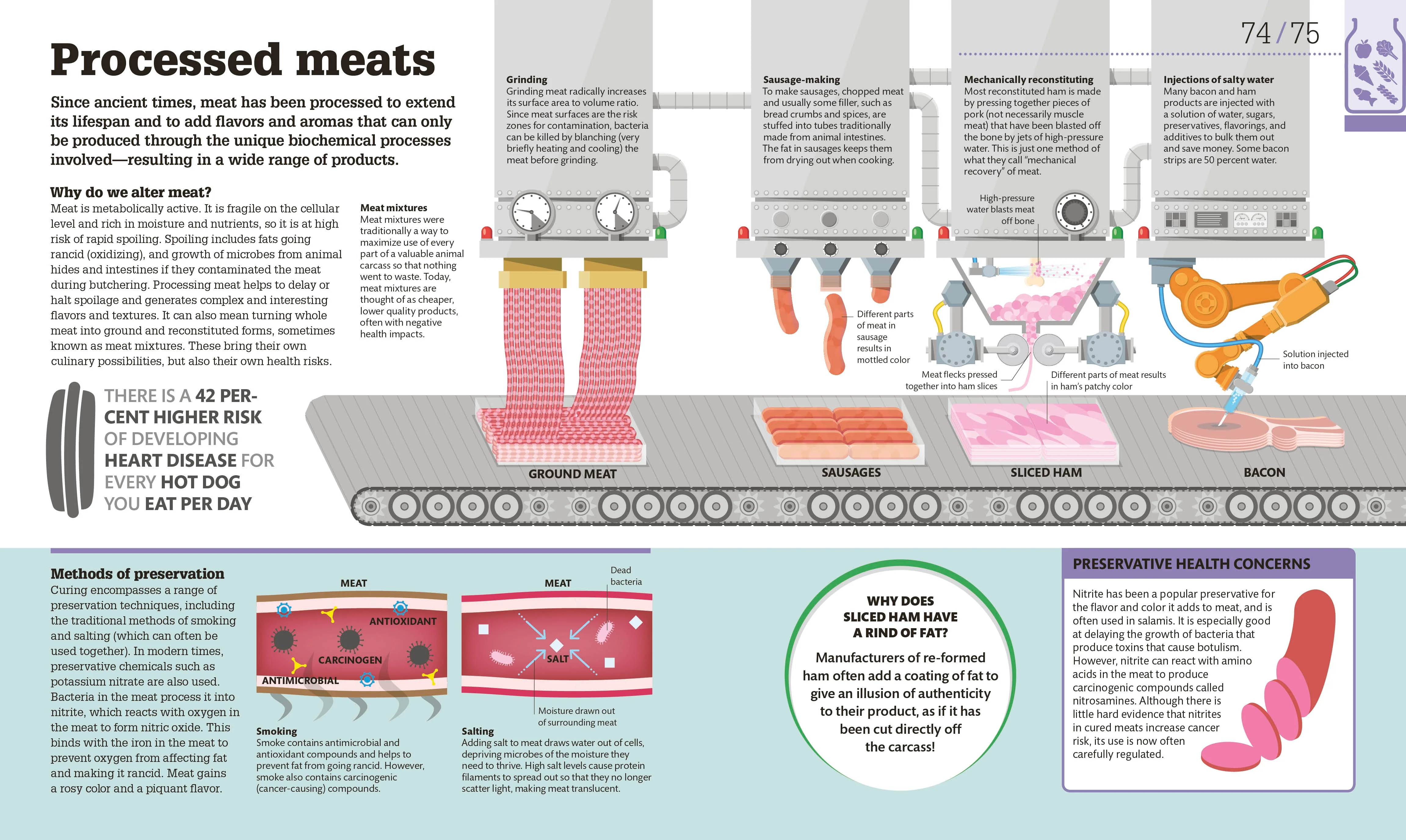 How Food Works - Image 2