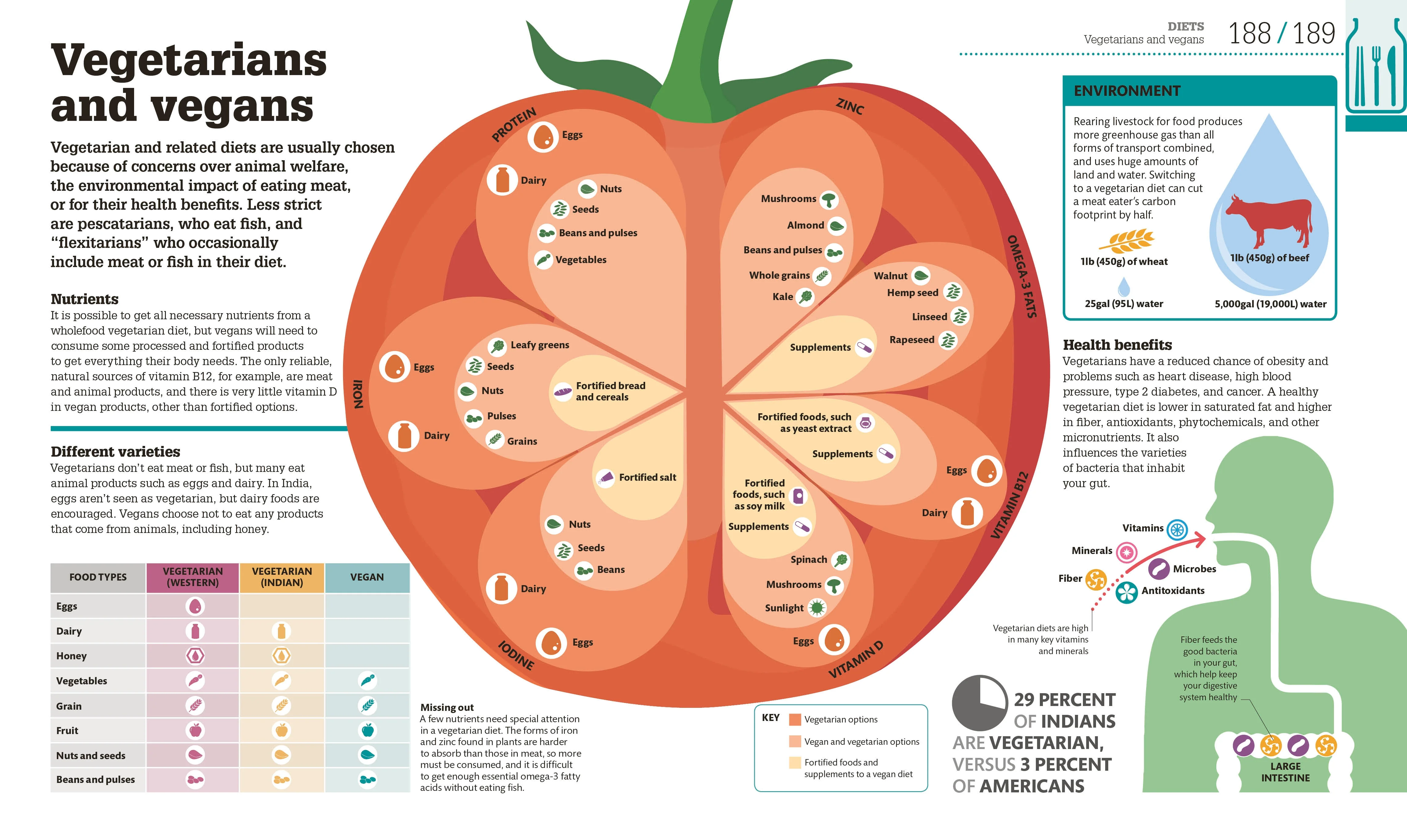 How Food Works - Image 4