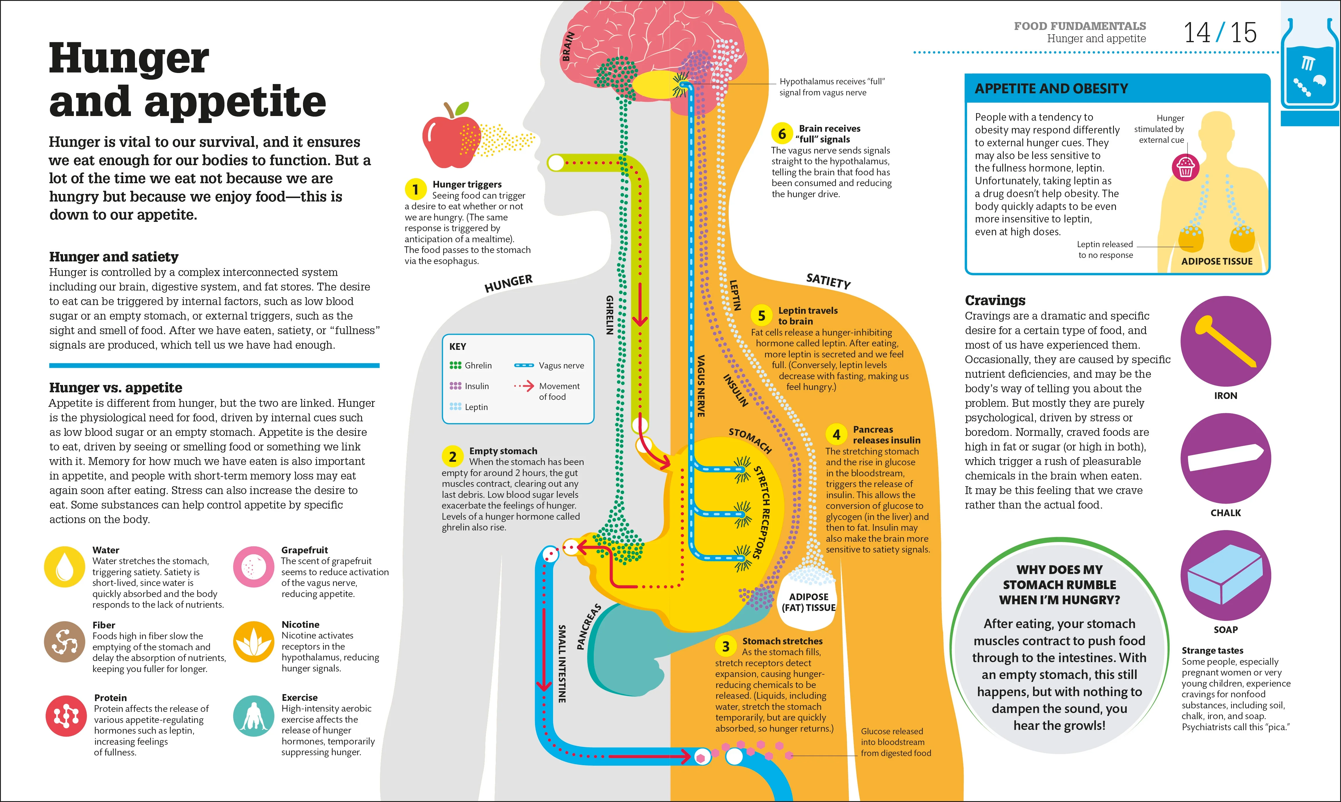 How Food Works - Image 6