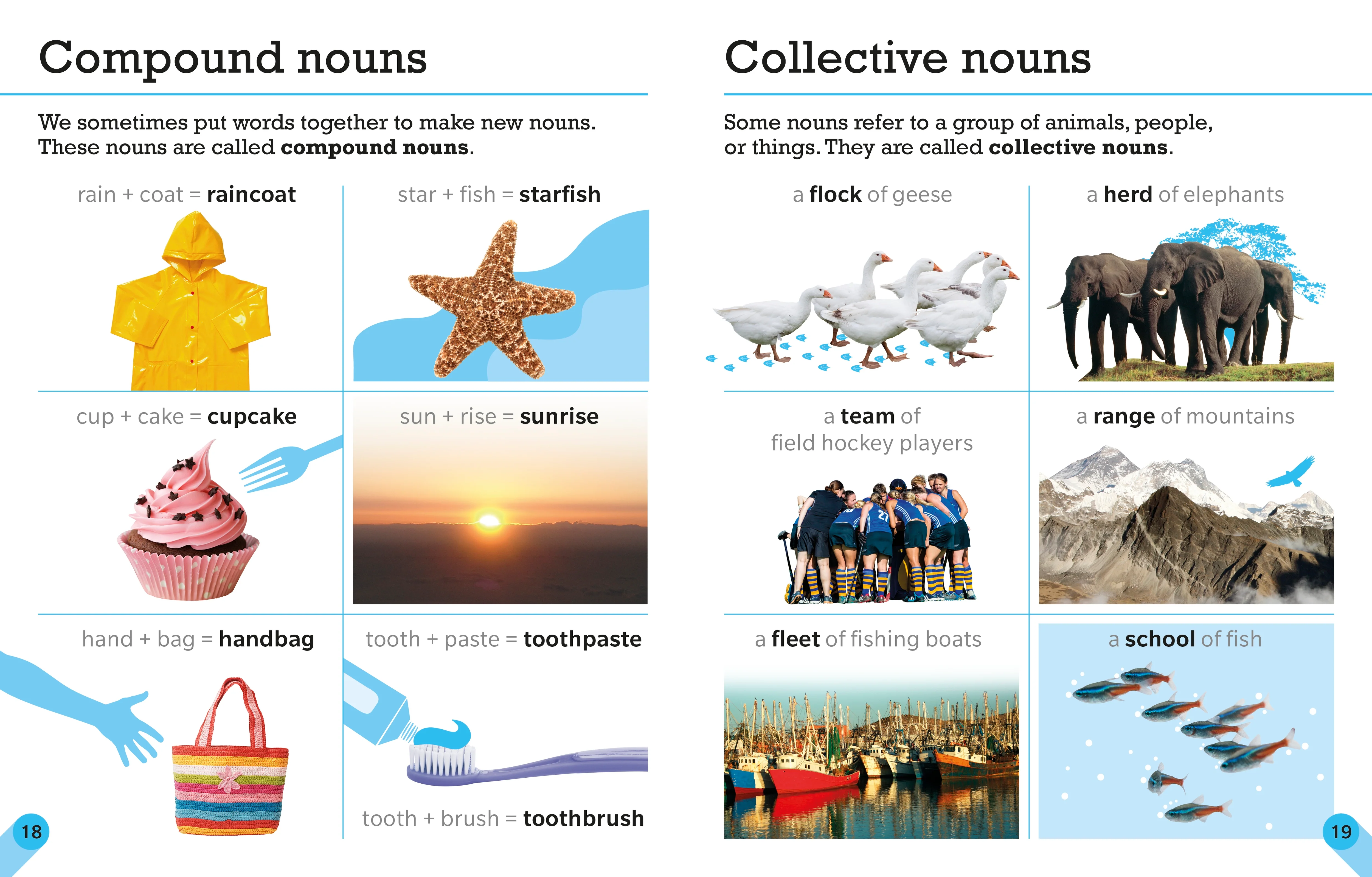 Visual Guide to Grammar and Punctuation - Image 2