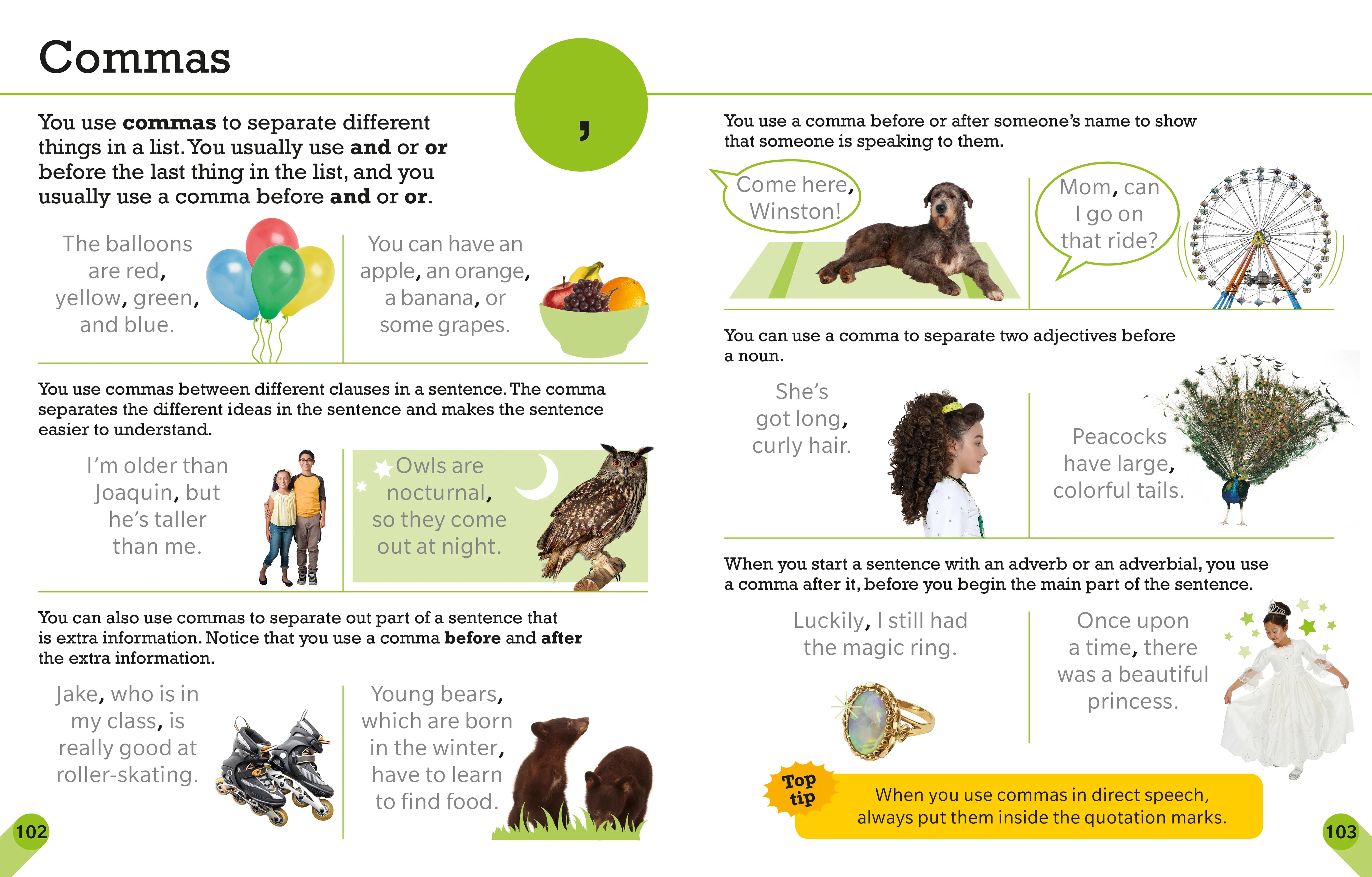 Visual Guide to Grammar and Punctuation - Image 4