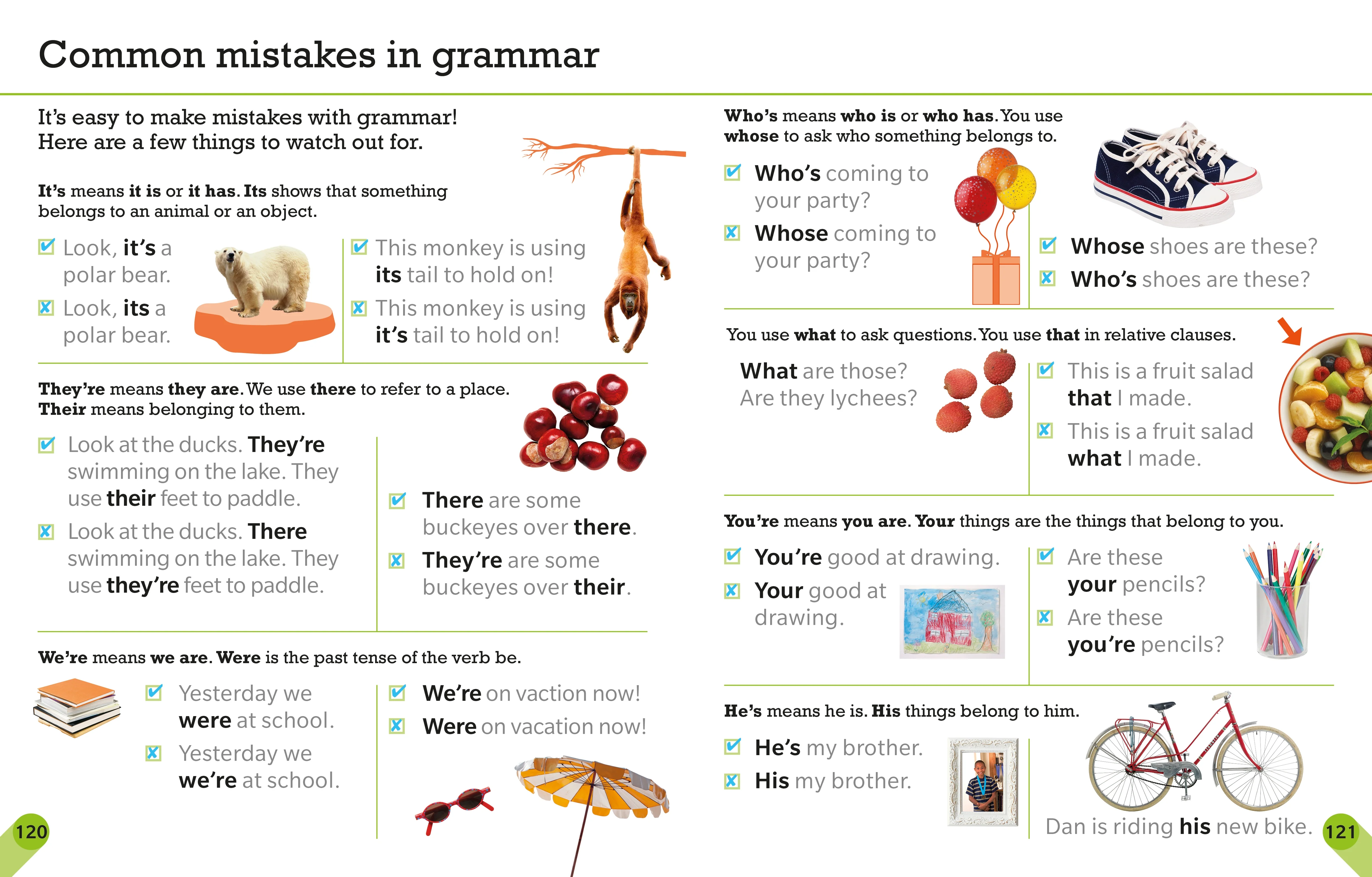 Visual Guide to Grammar and Punctuation - Image 5