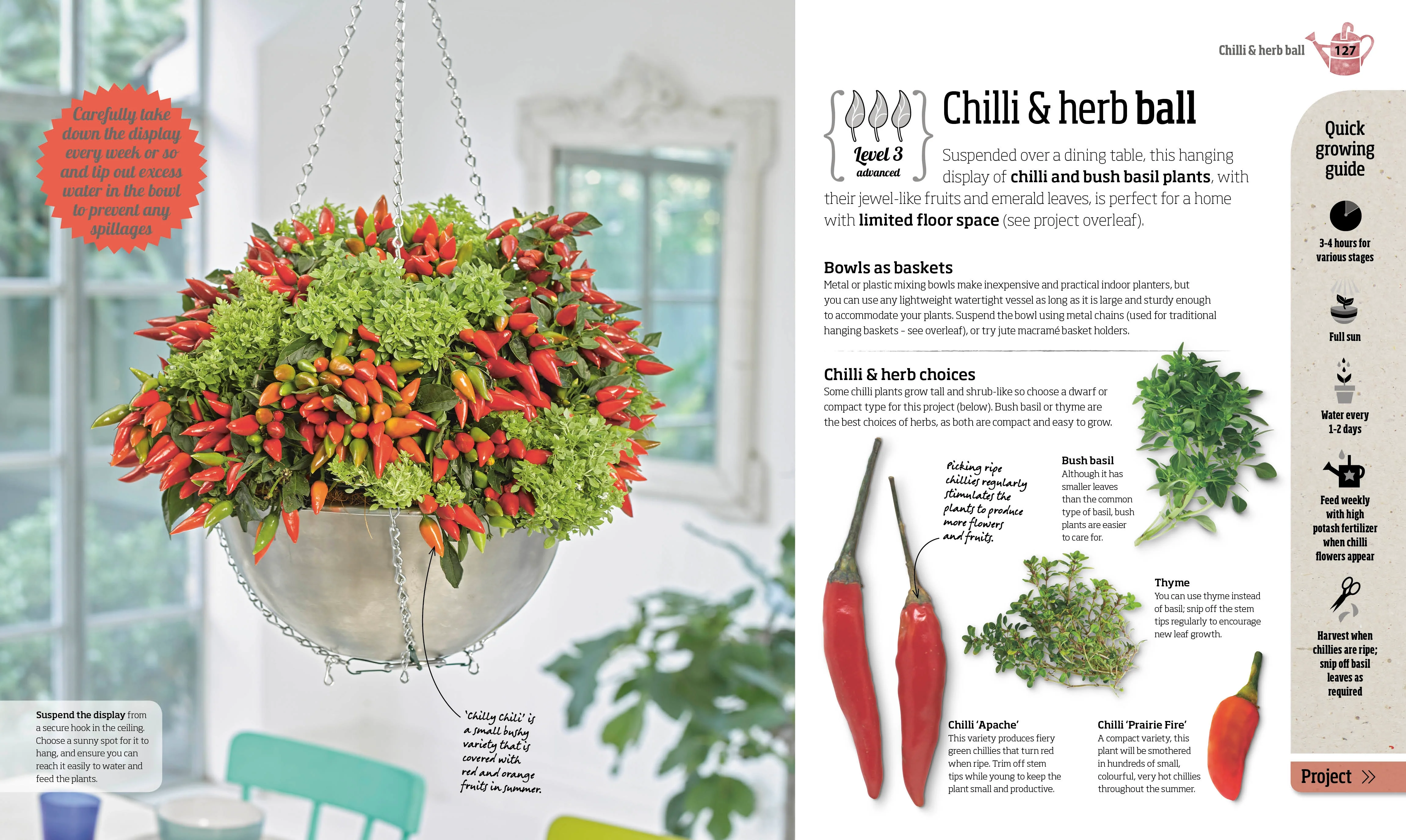 Indoor Edible Garden - Image 2