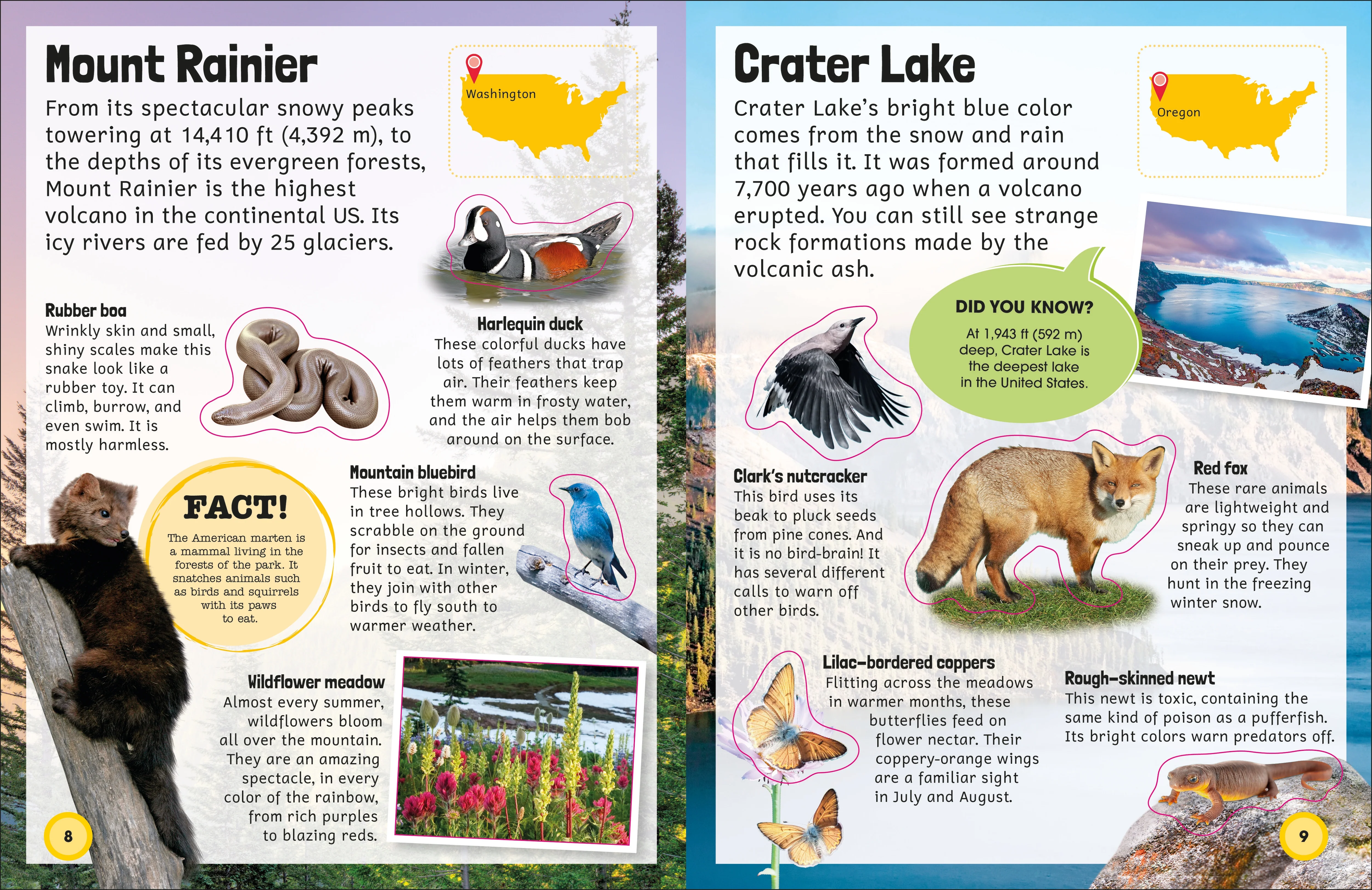 Sticker Encyclopedia National Parks - Image 2
