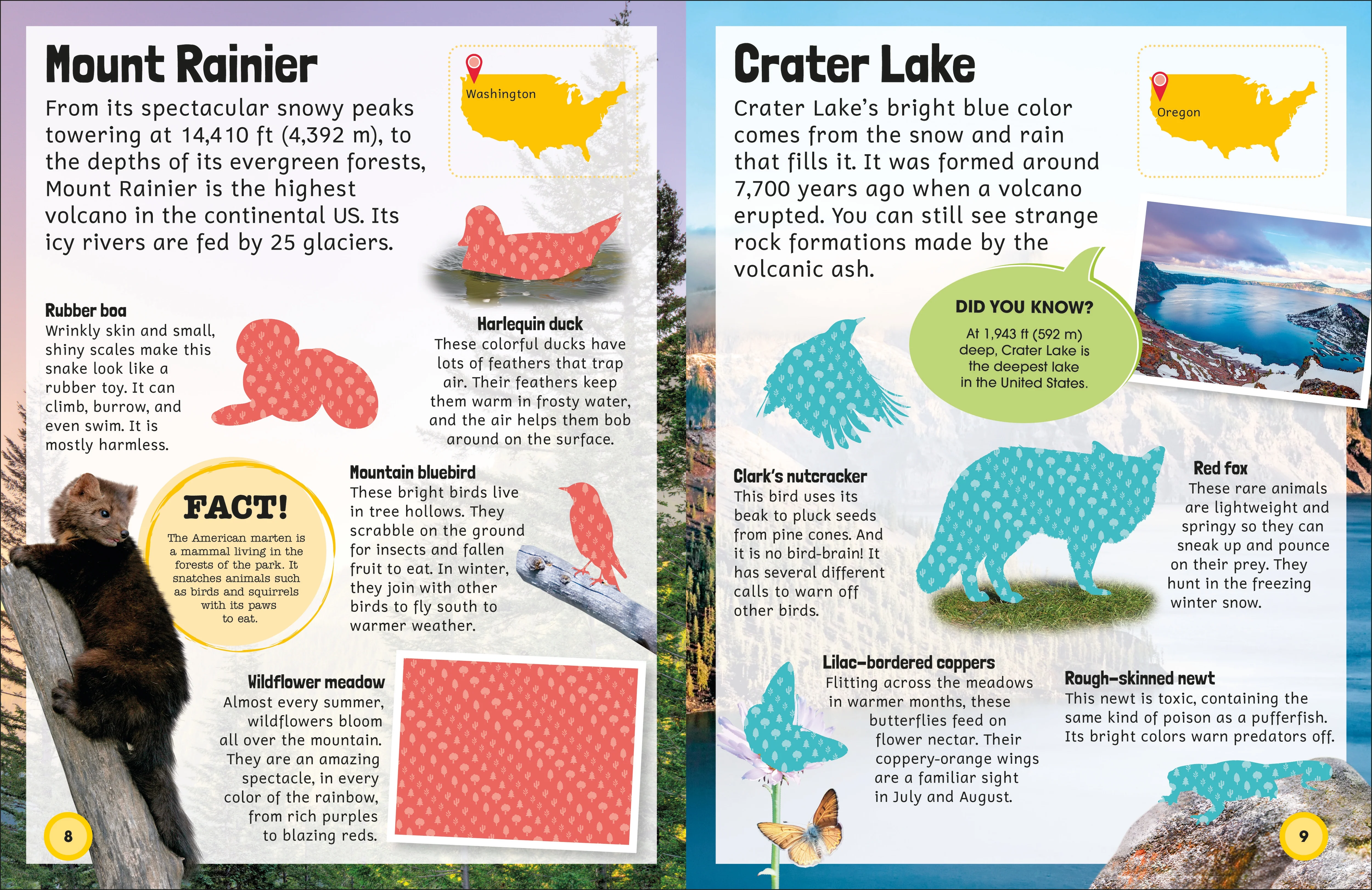 Sticker Encyclopedia National Parks - Image 3