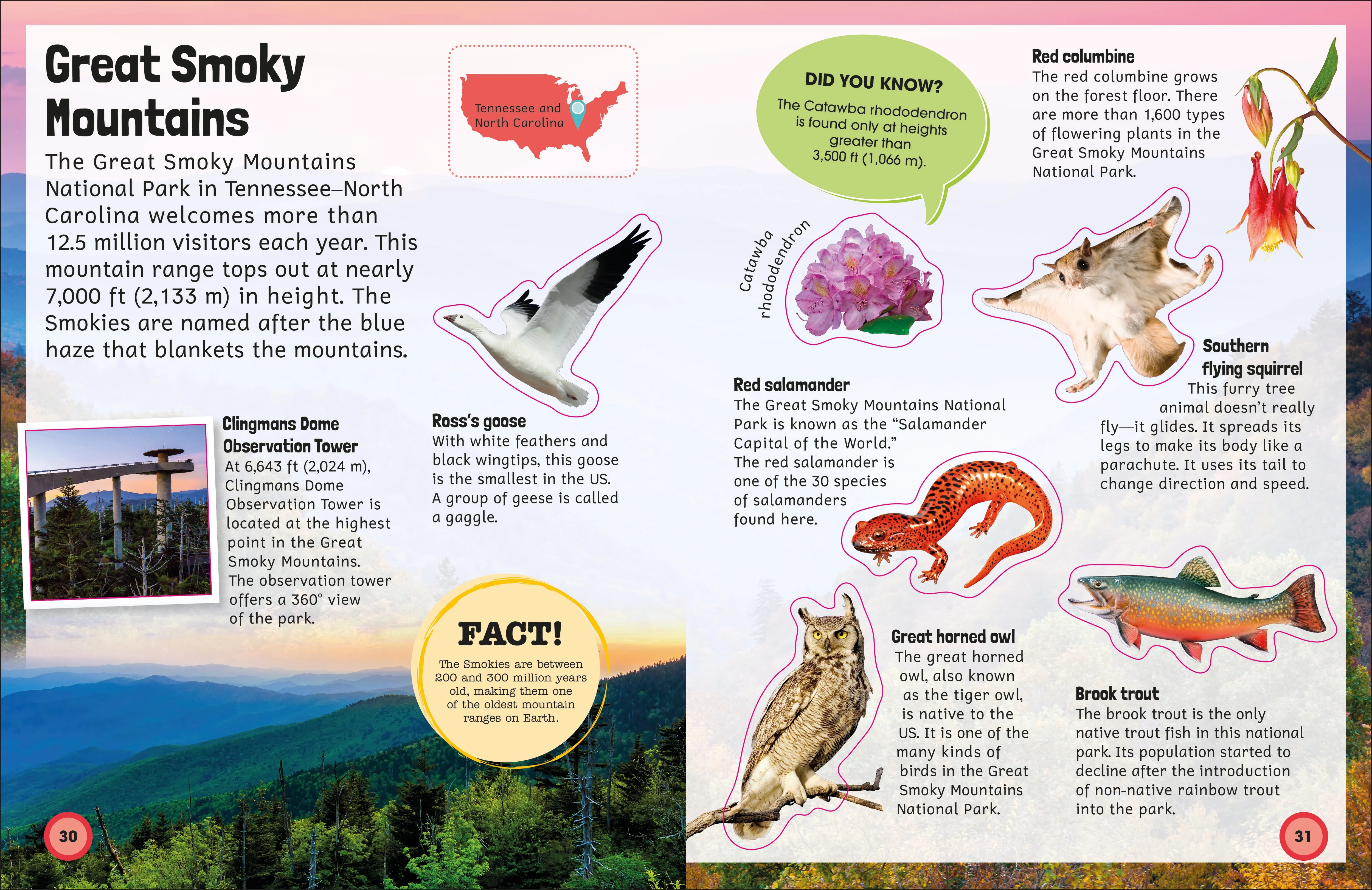 Sticker Encyclopedia National Parks - Image 6