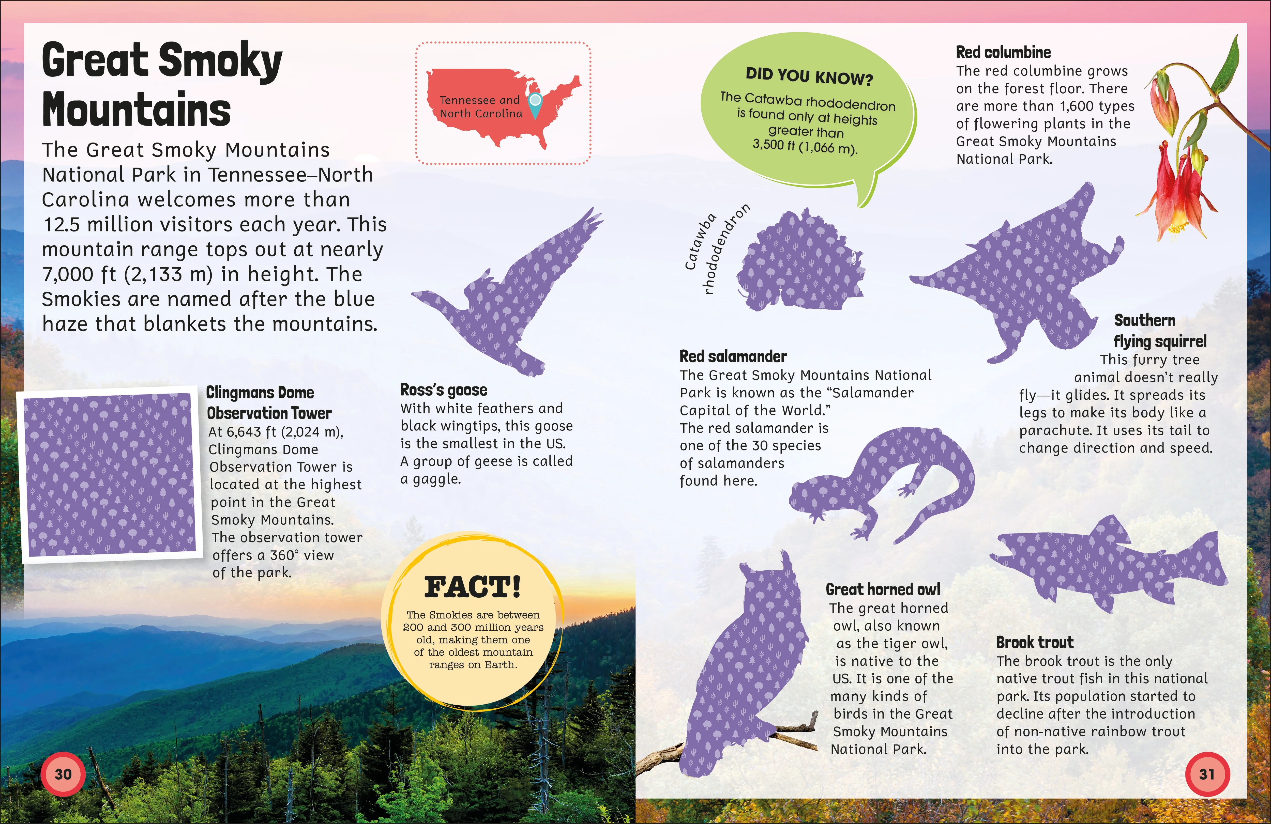 Sticker Encyclopedia National Parks - Image 7