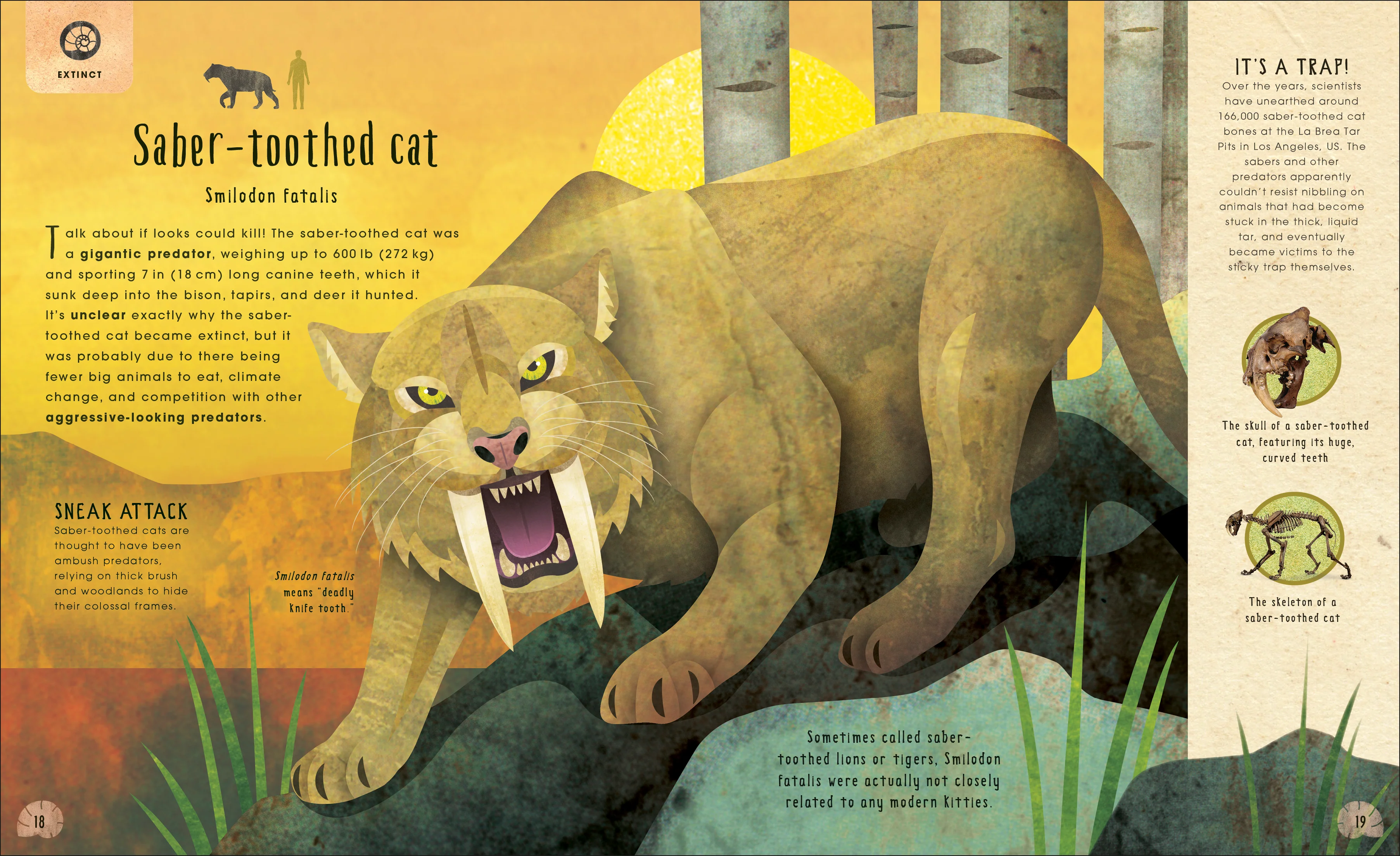 Animals Lost and Found - Image 2
