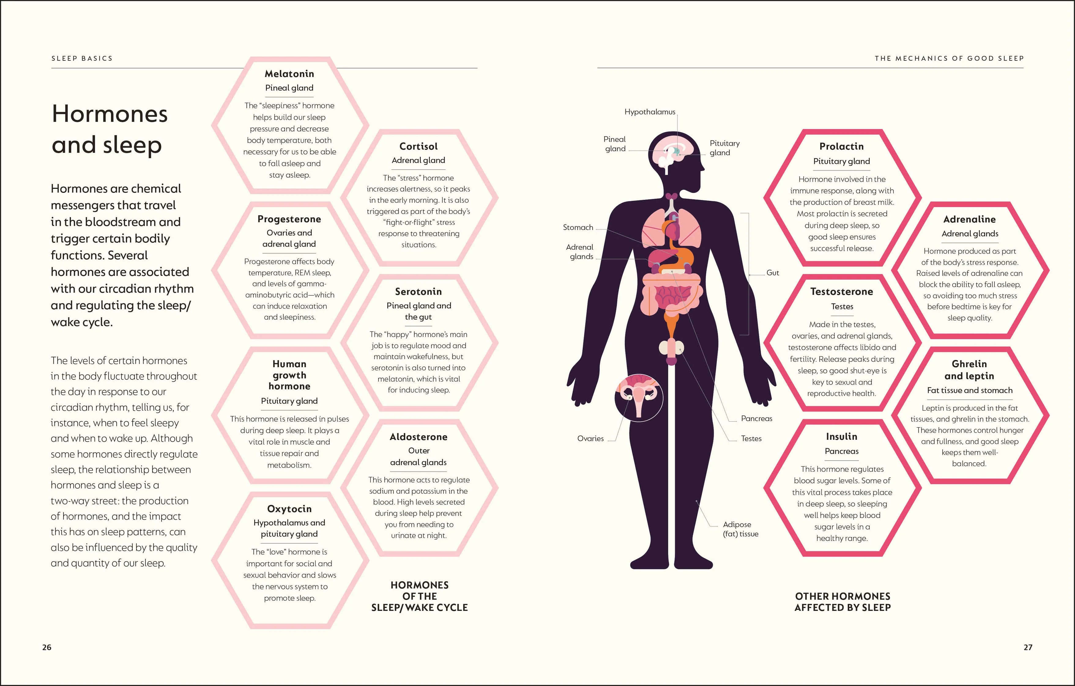 The Science of Sleep - Image 2