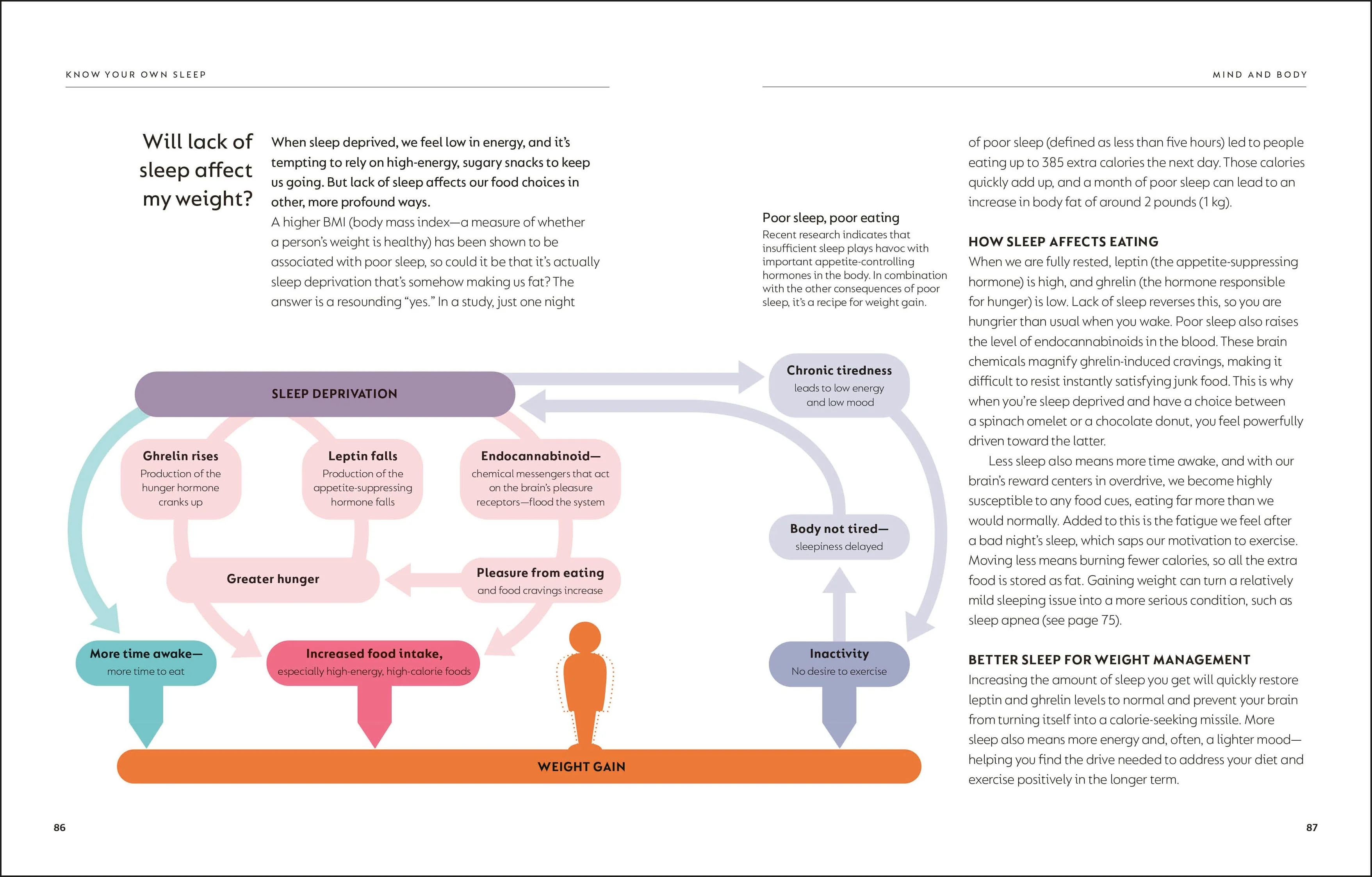 The Science of Sleep - Image 4