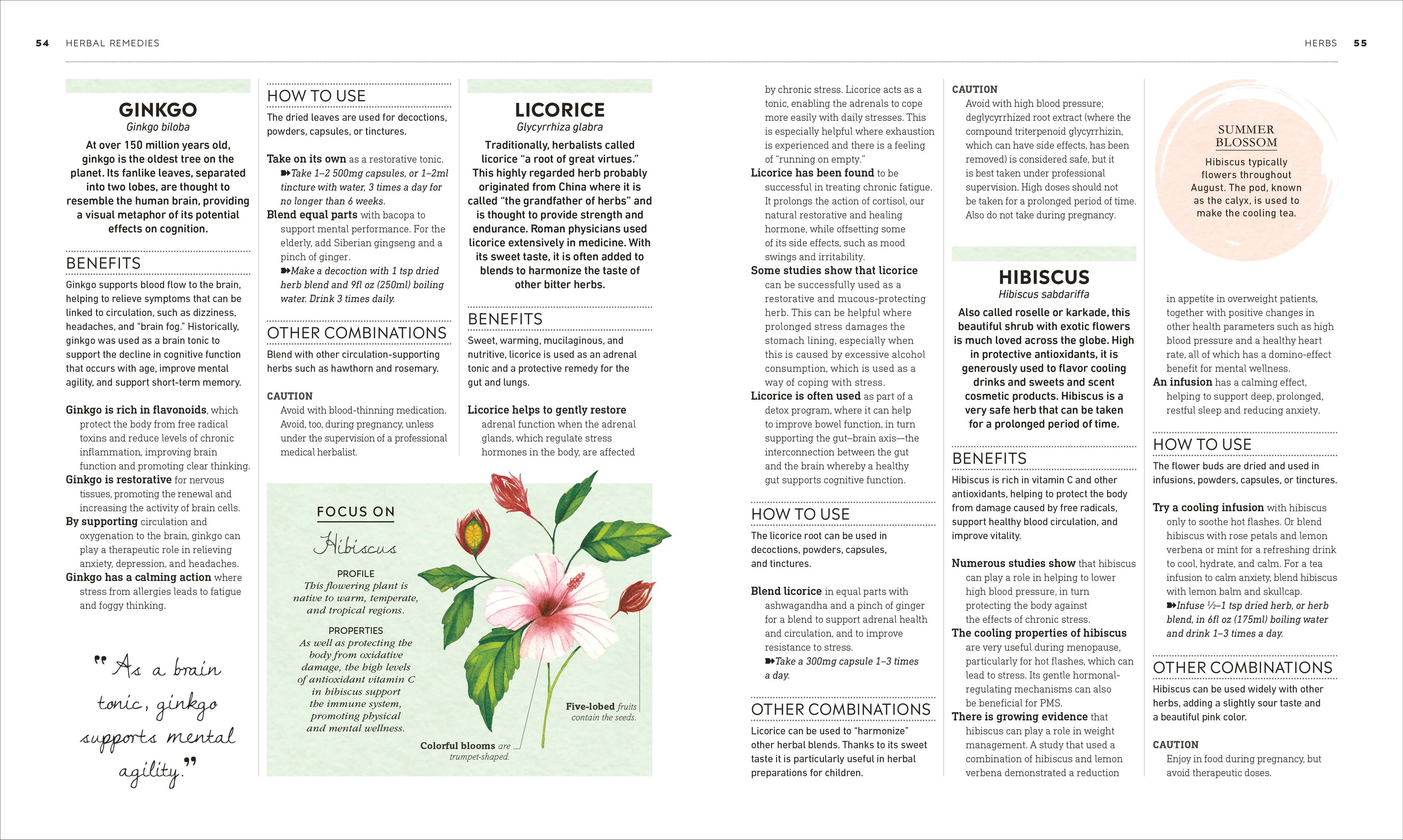 Mental Wellness - Image 3