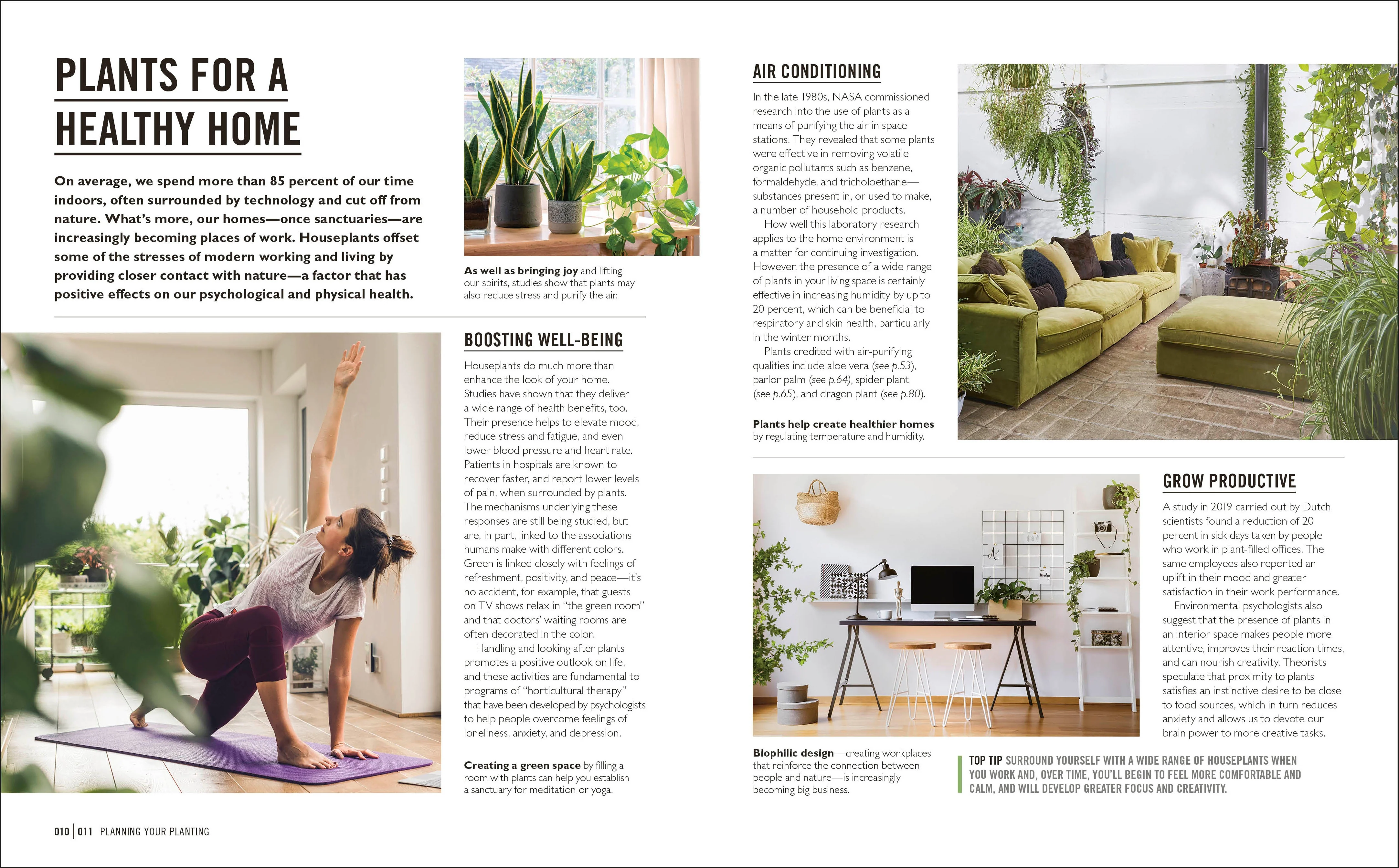 Grow Houseplants - Image 2