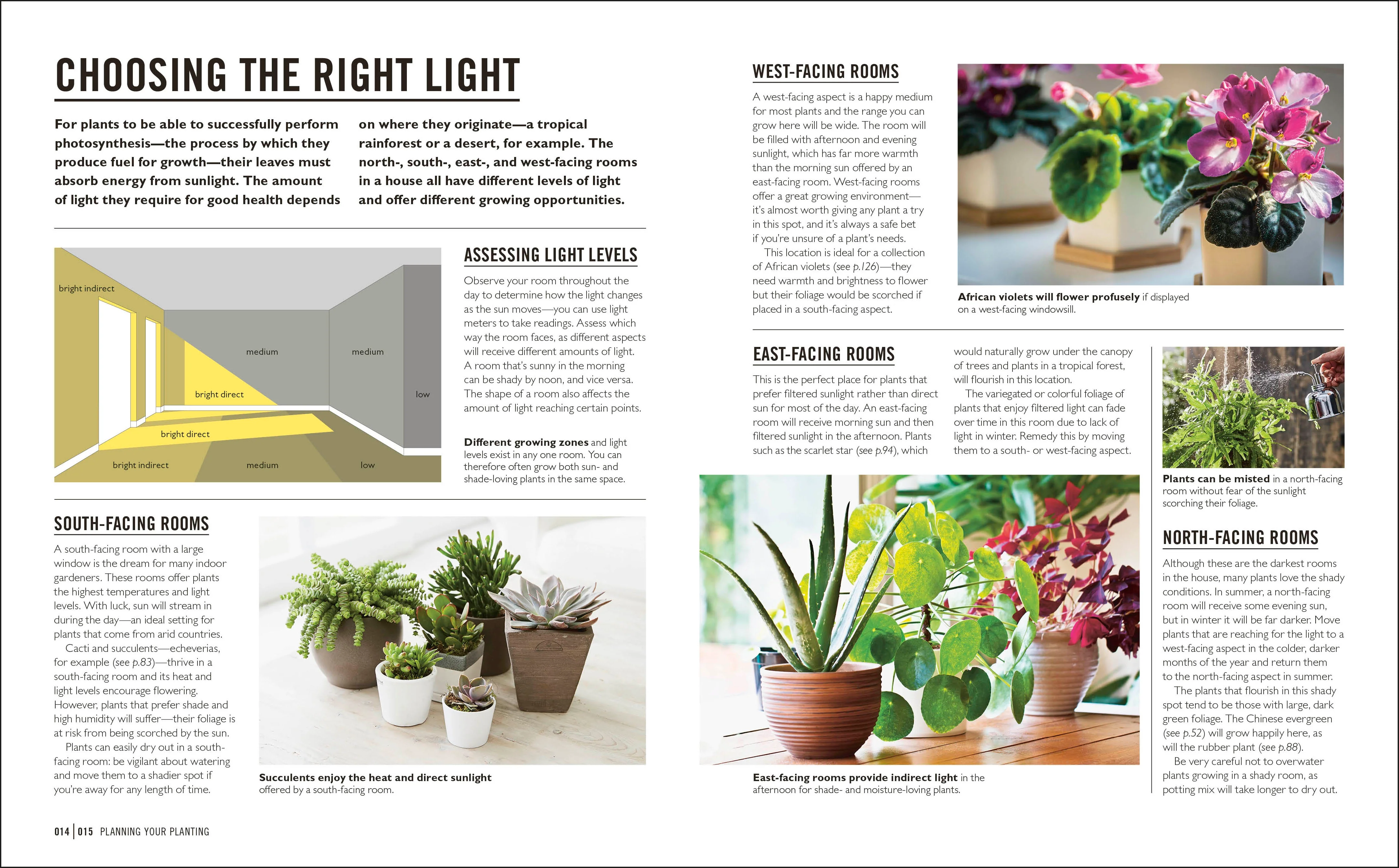 Grow Houseplants - Image 3