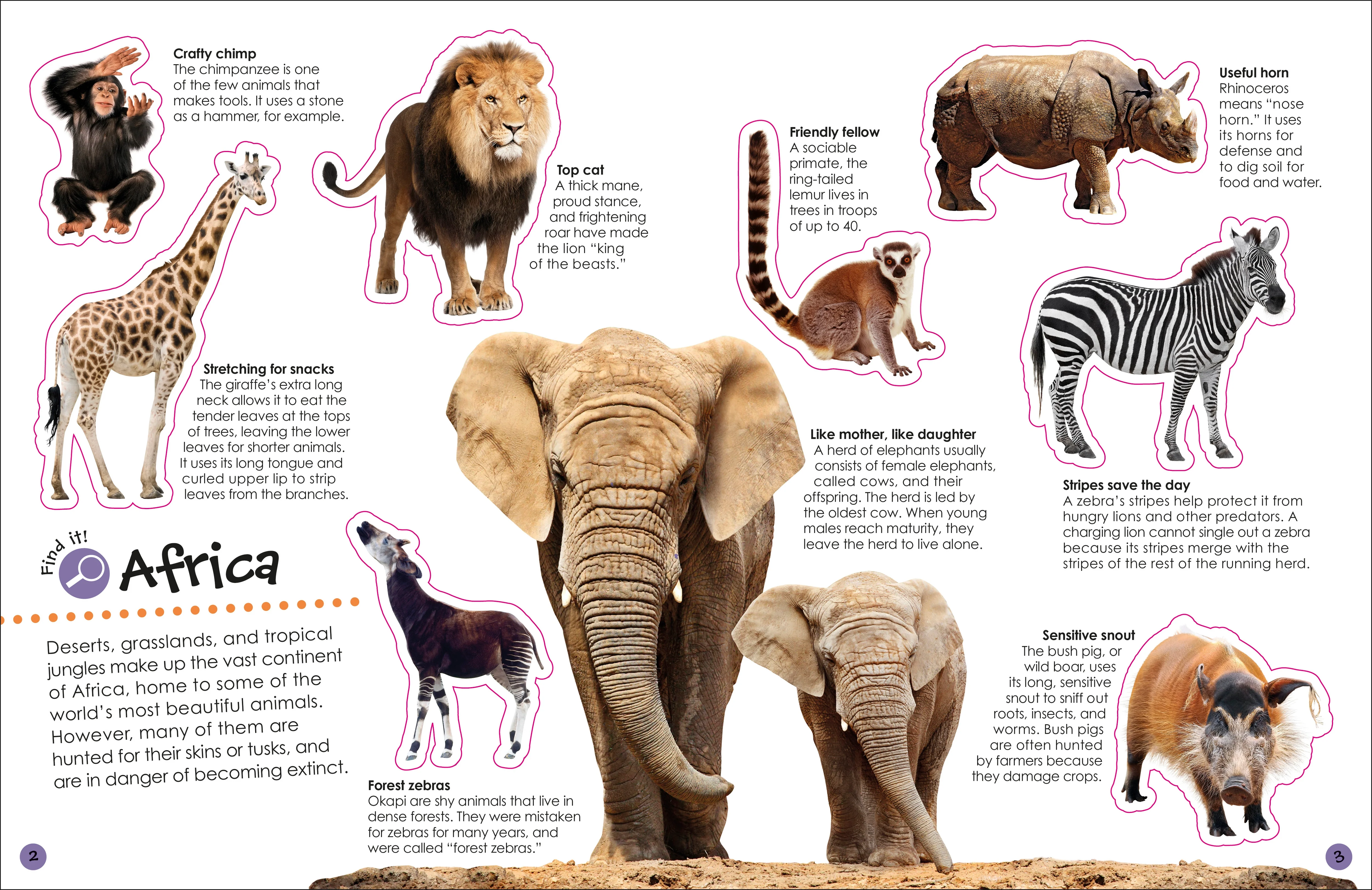 Ultimate Sticker Book Animals - Image 2