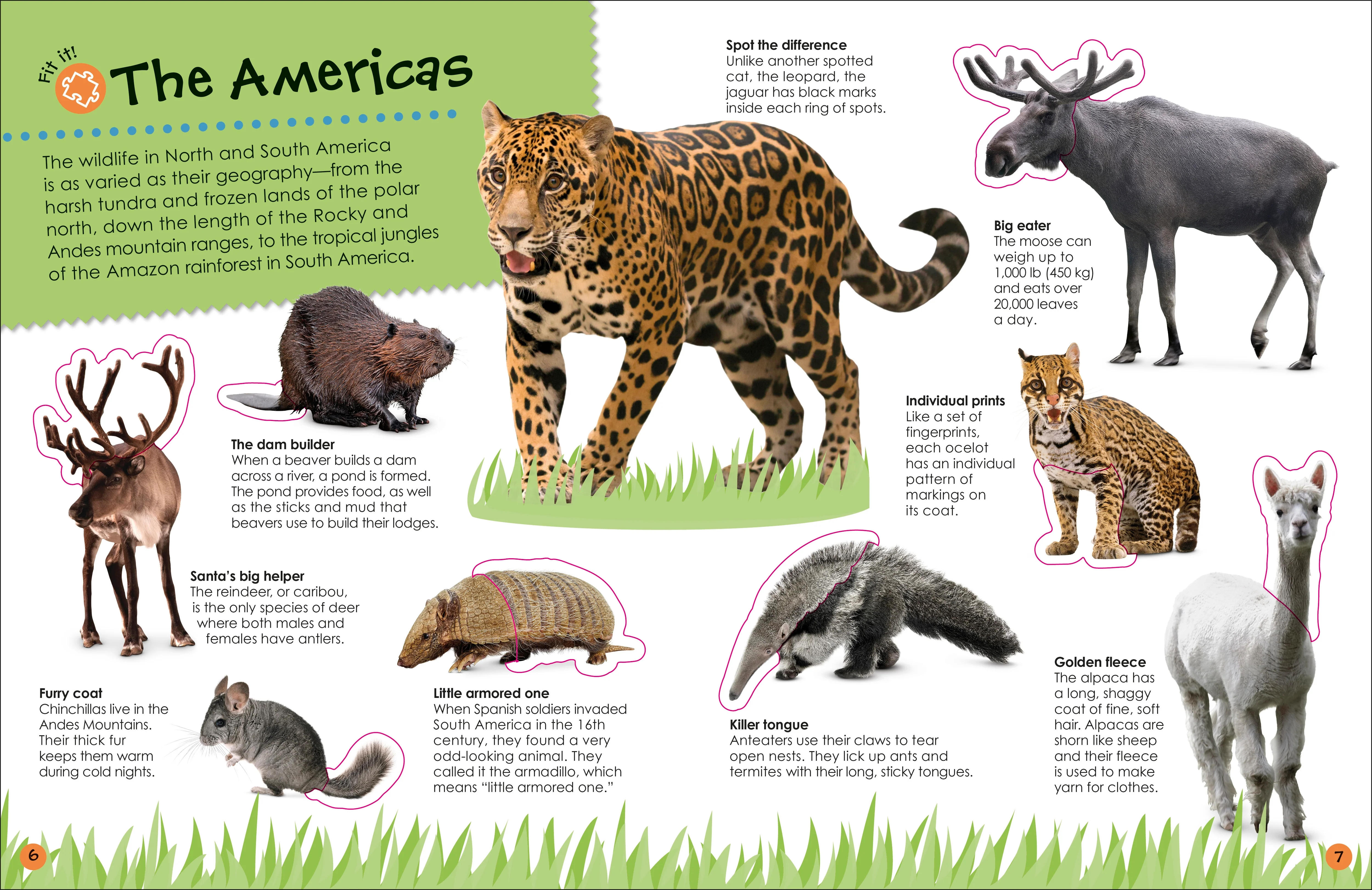 Ultimate Sticker Book Animals - Image 4