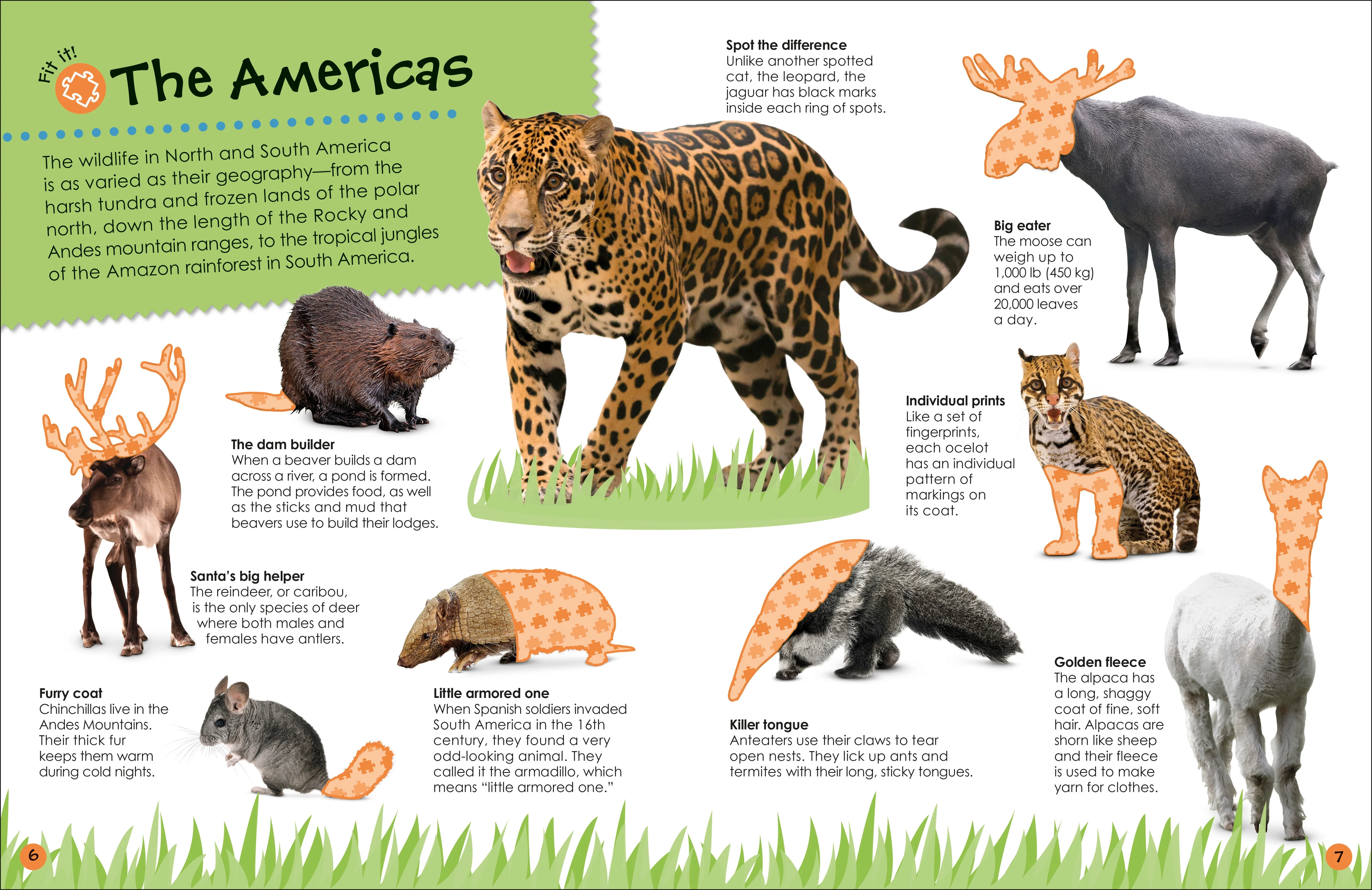 Ultimate Sticker Book Animals - Image 5