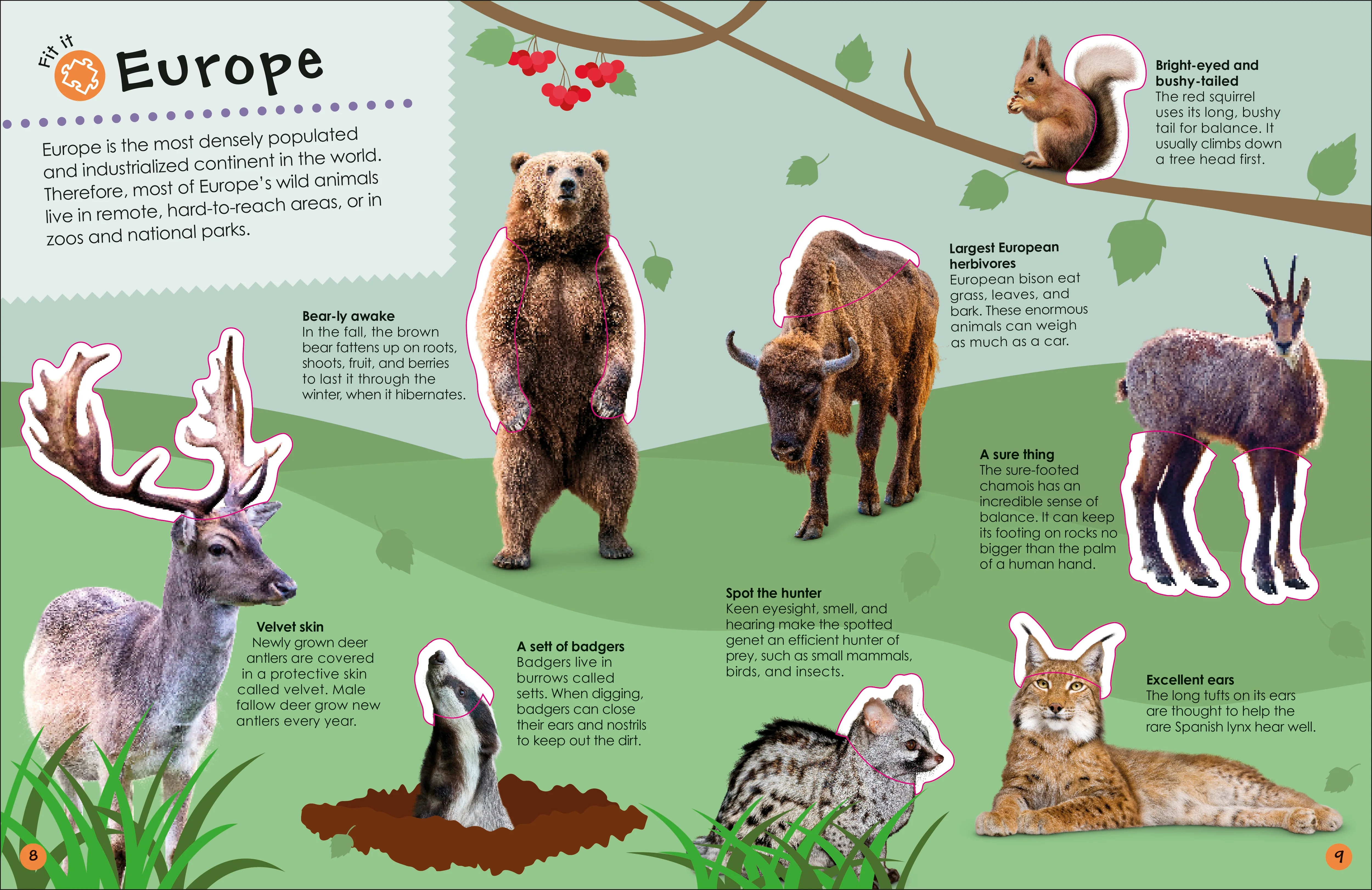 Ultimate Sticker Book Animals - Image 6