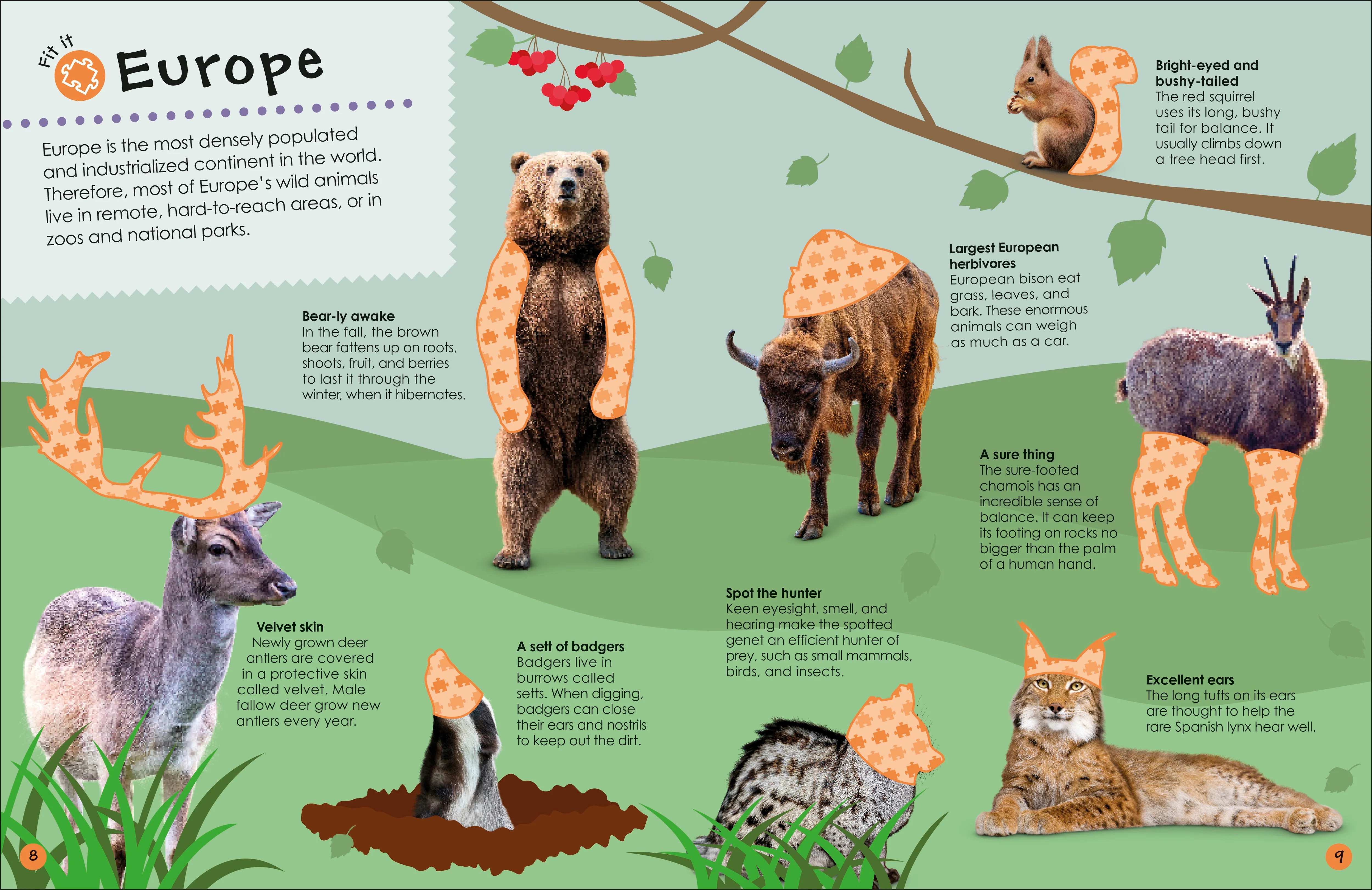 Ultimate Sticker Book Animals - Image 7