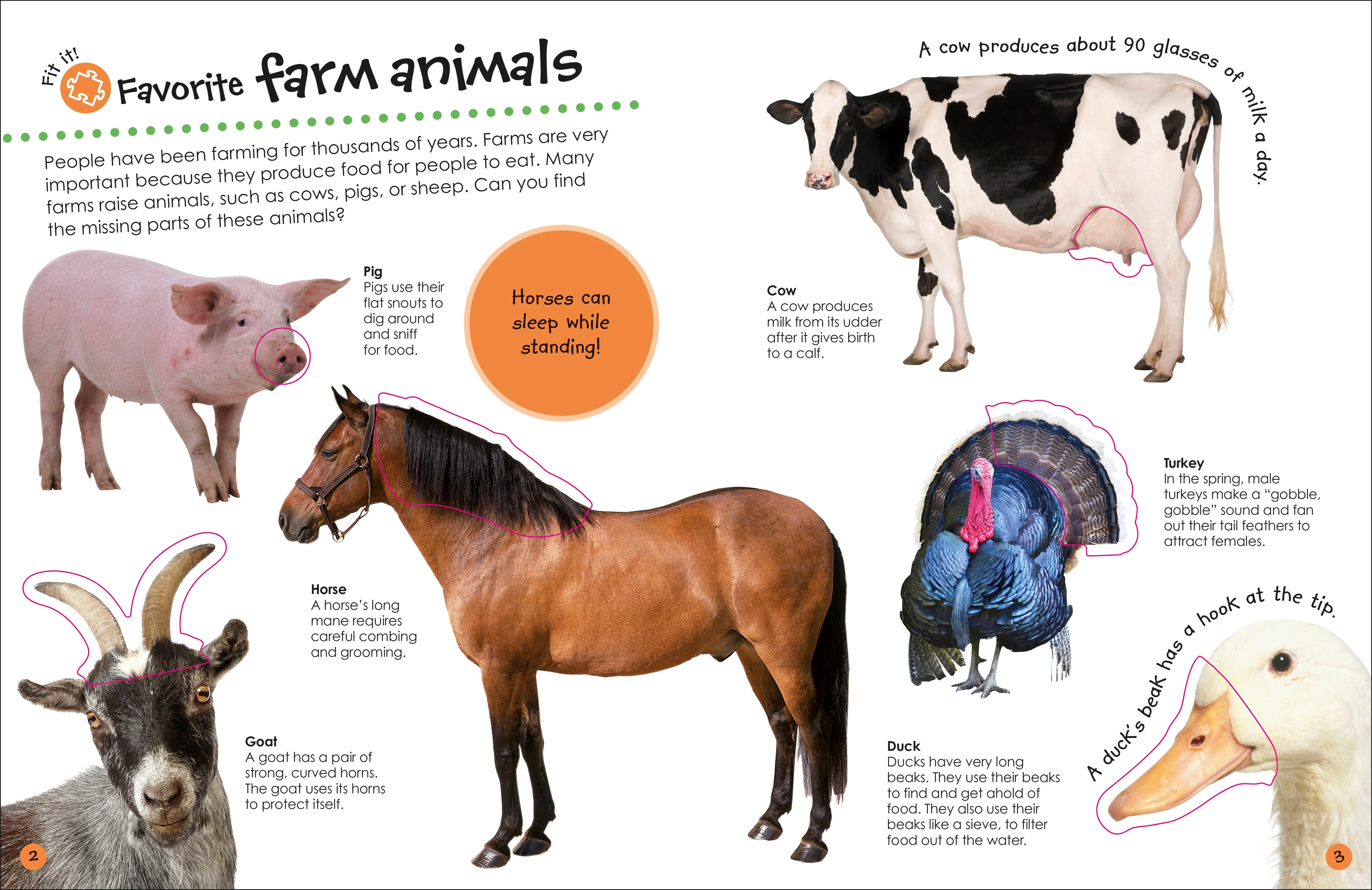 Ultimate Sticker Book Farm - Image 2