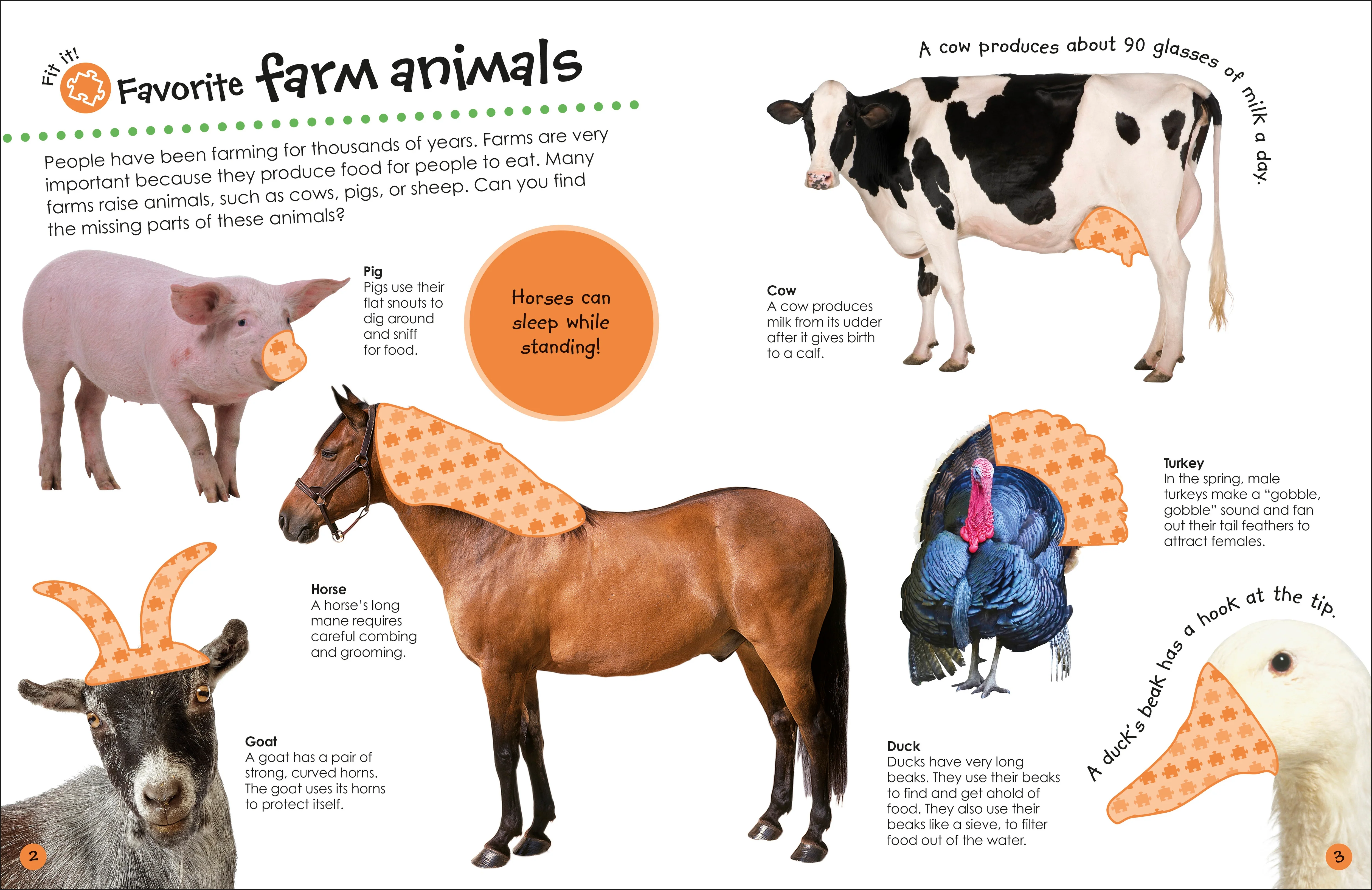 Ultimate Sticker Book Farm - Image 3