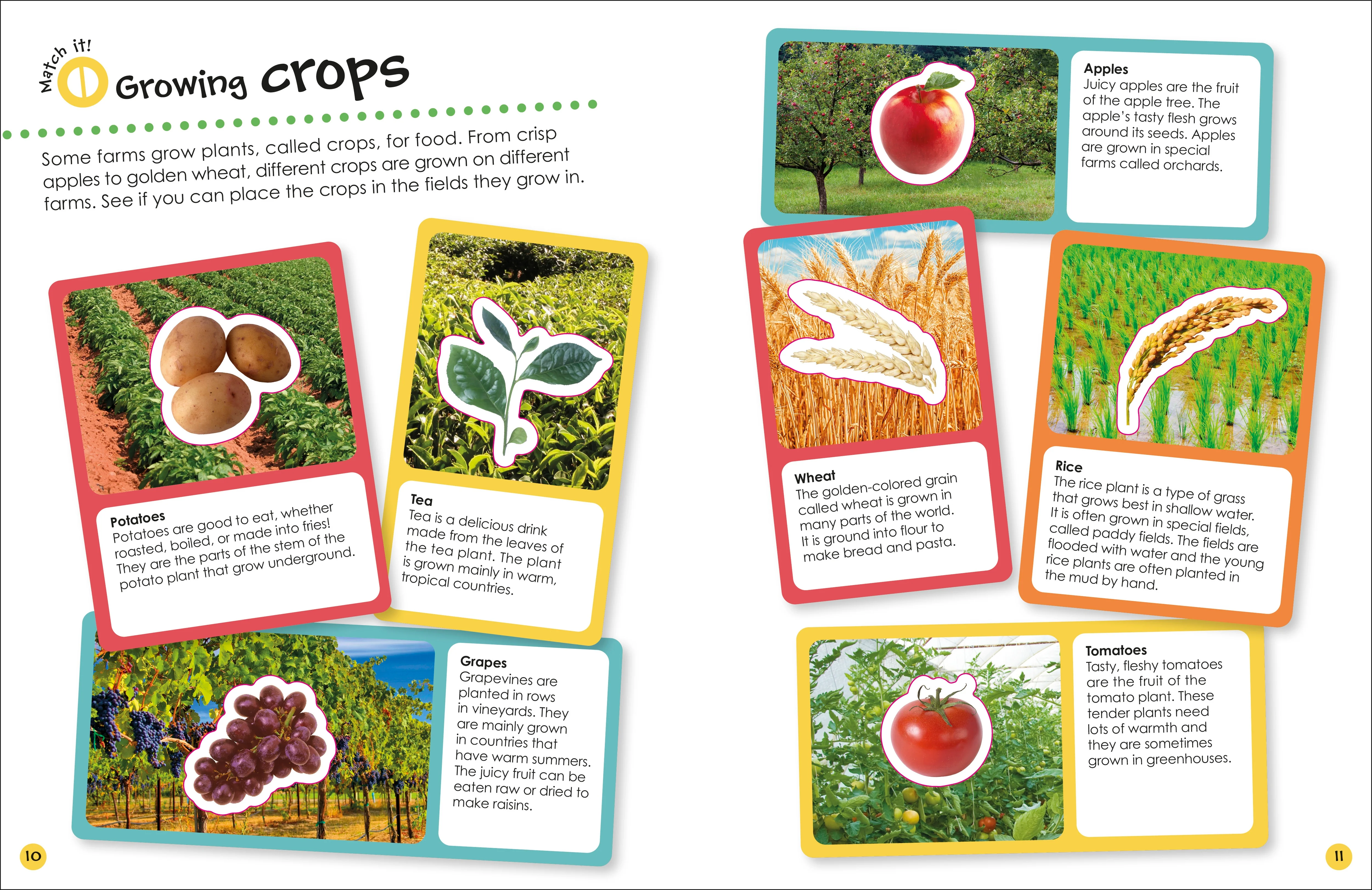 Ultimate Sticker Book Farm - Image 6