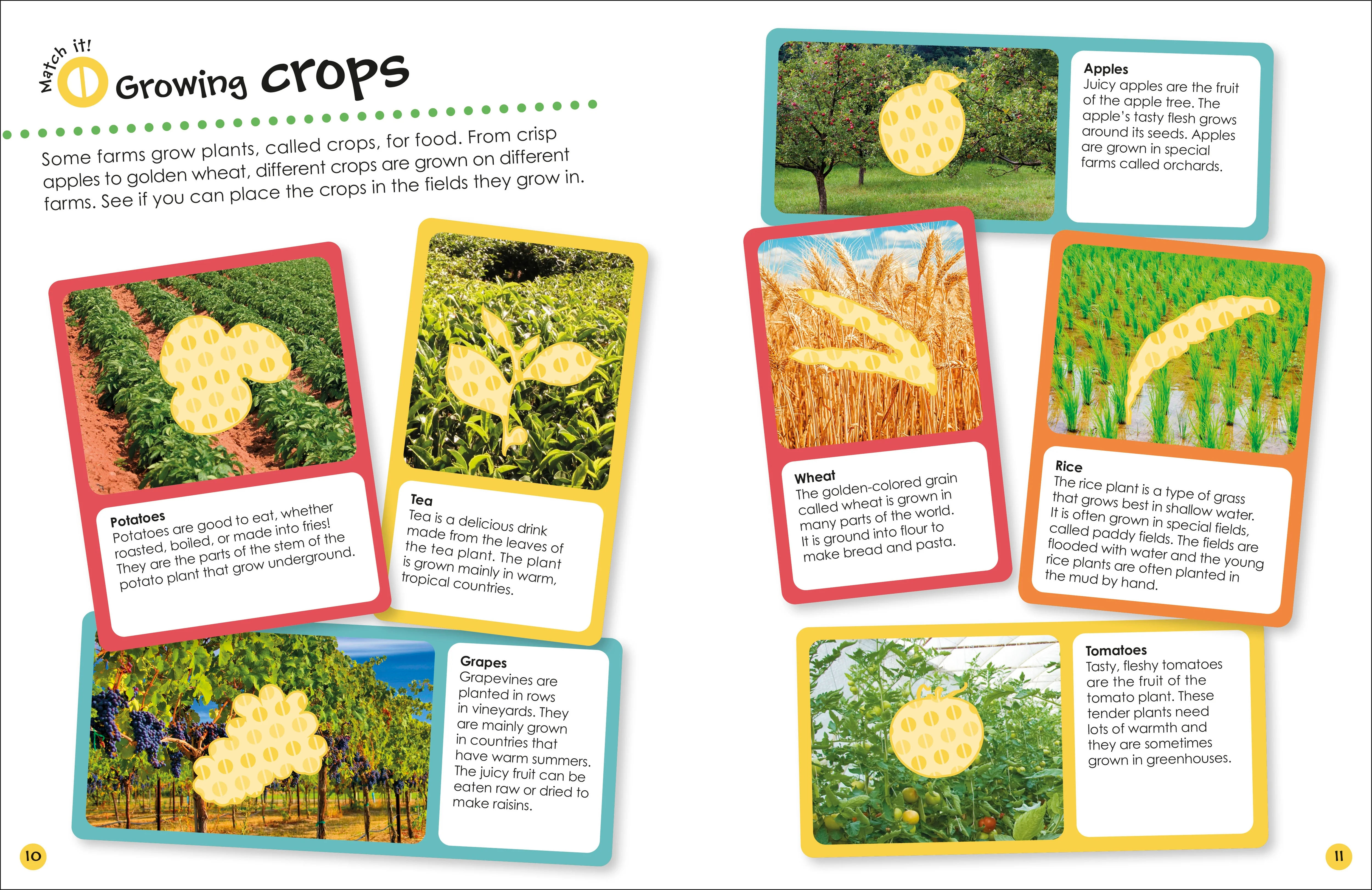 Ultimate Sticker Book Farm - Image 7