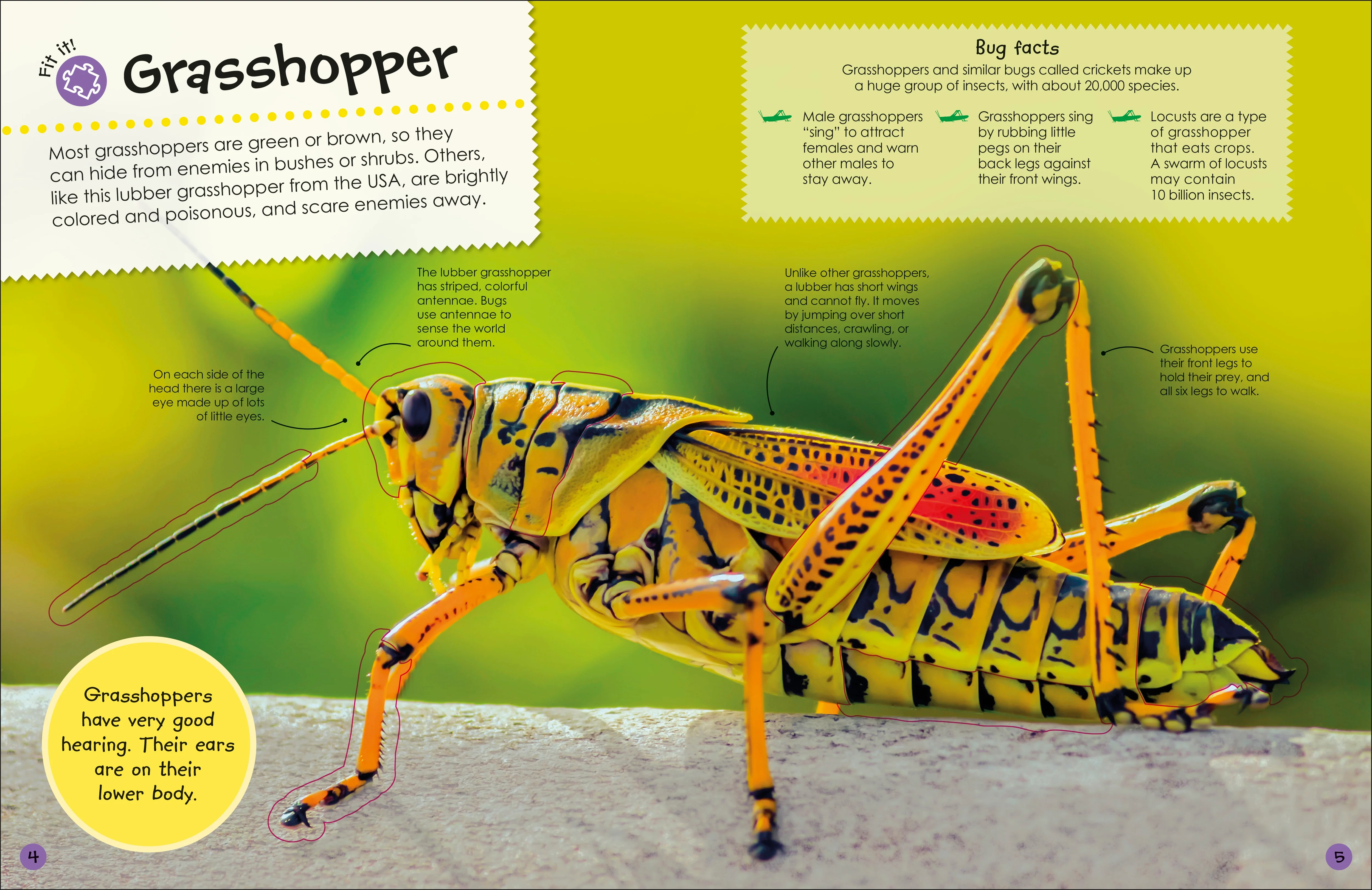 Ultimate Sticker Book Bugs - Image 2