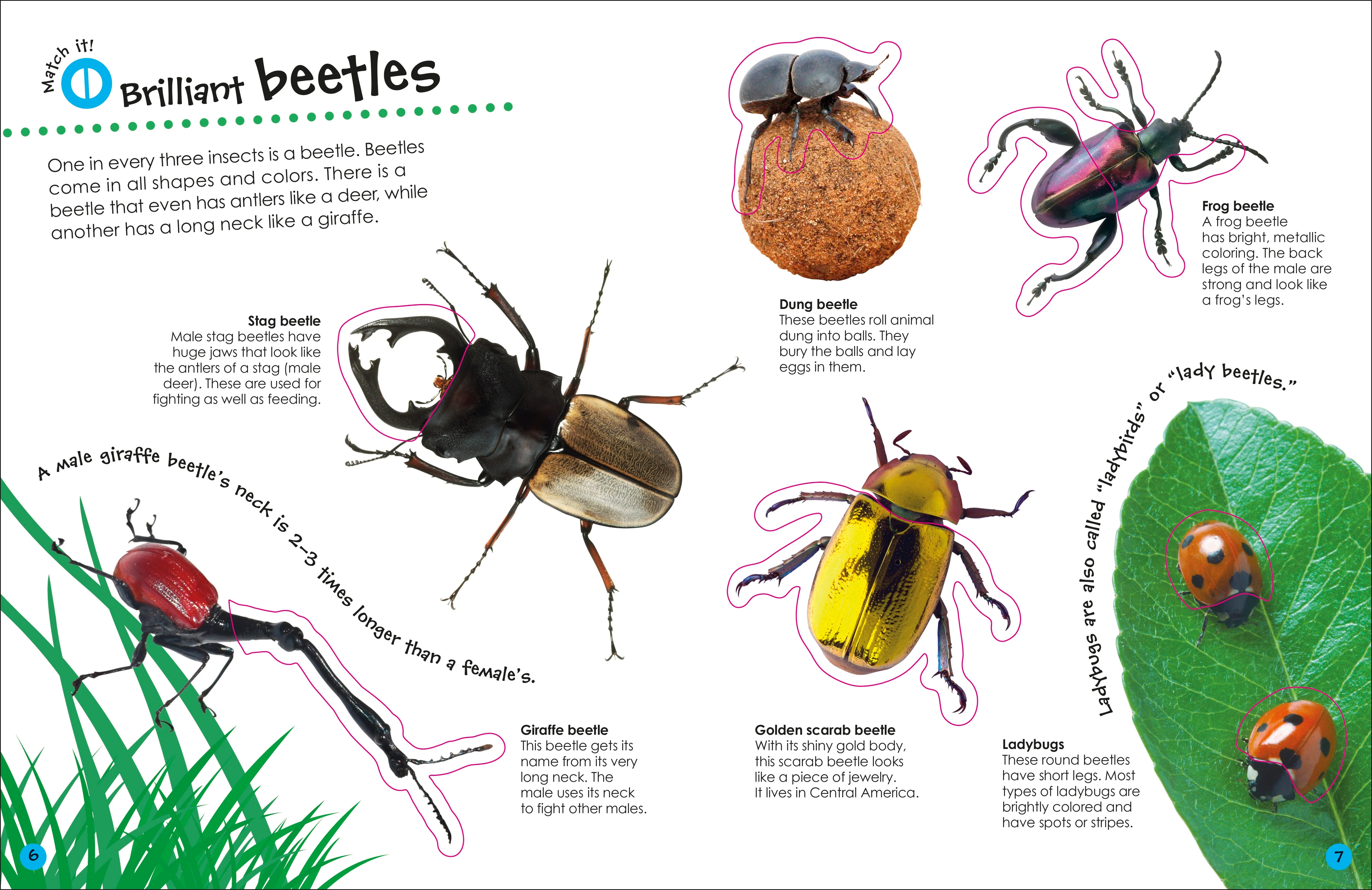 Ultimate Sticker Book Bugs - Image 4