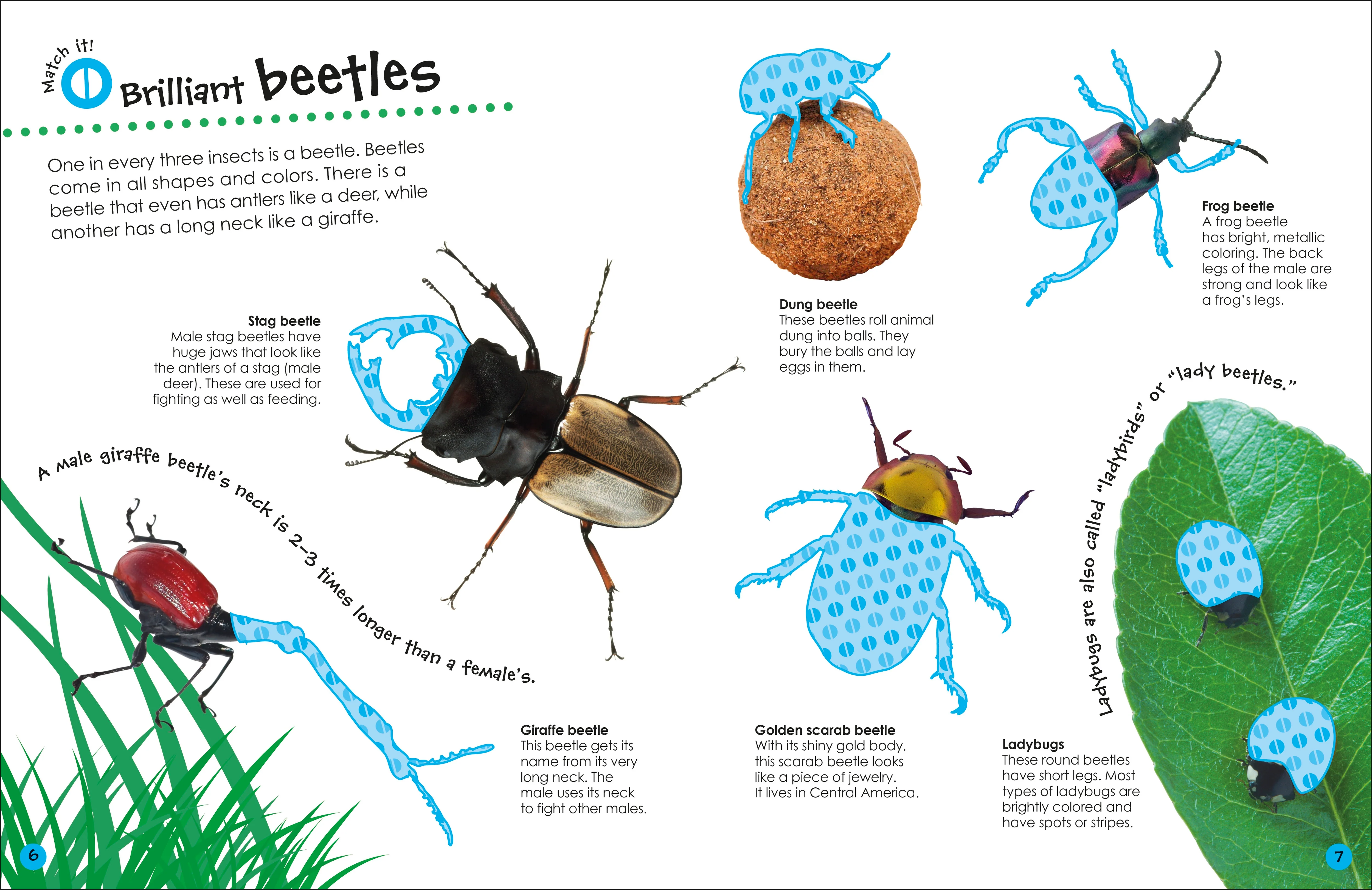 Ultimate Sticker Book Bugs - Image 5