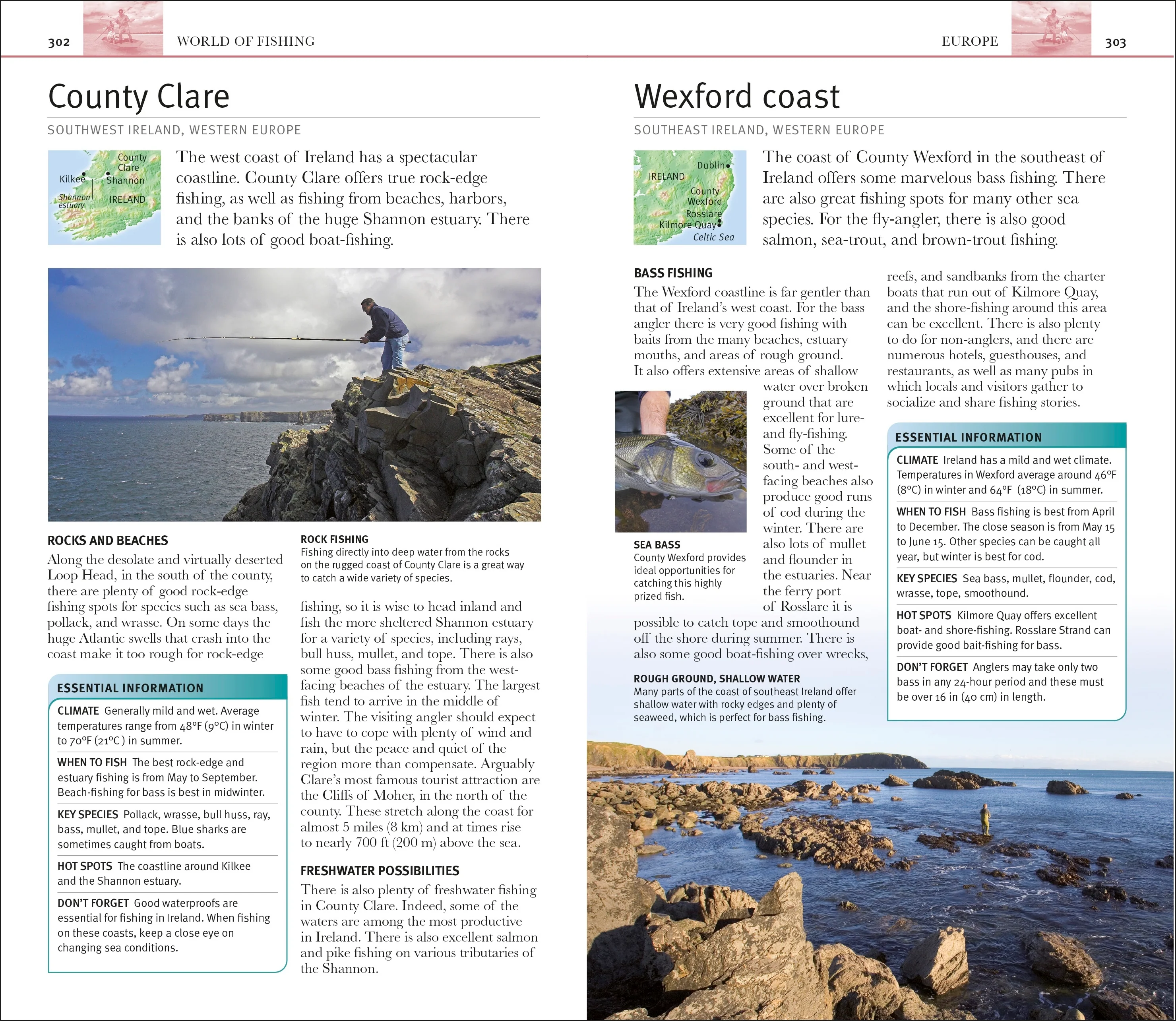 The Complete Fishing Manual - Image 7