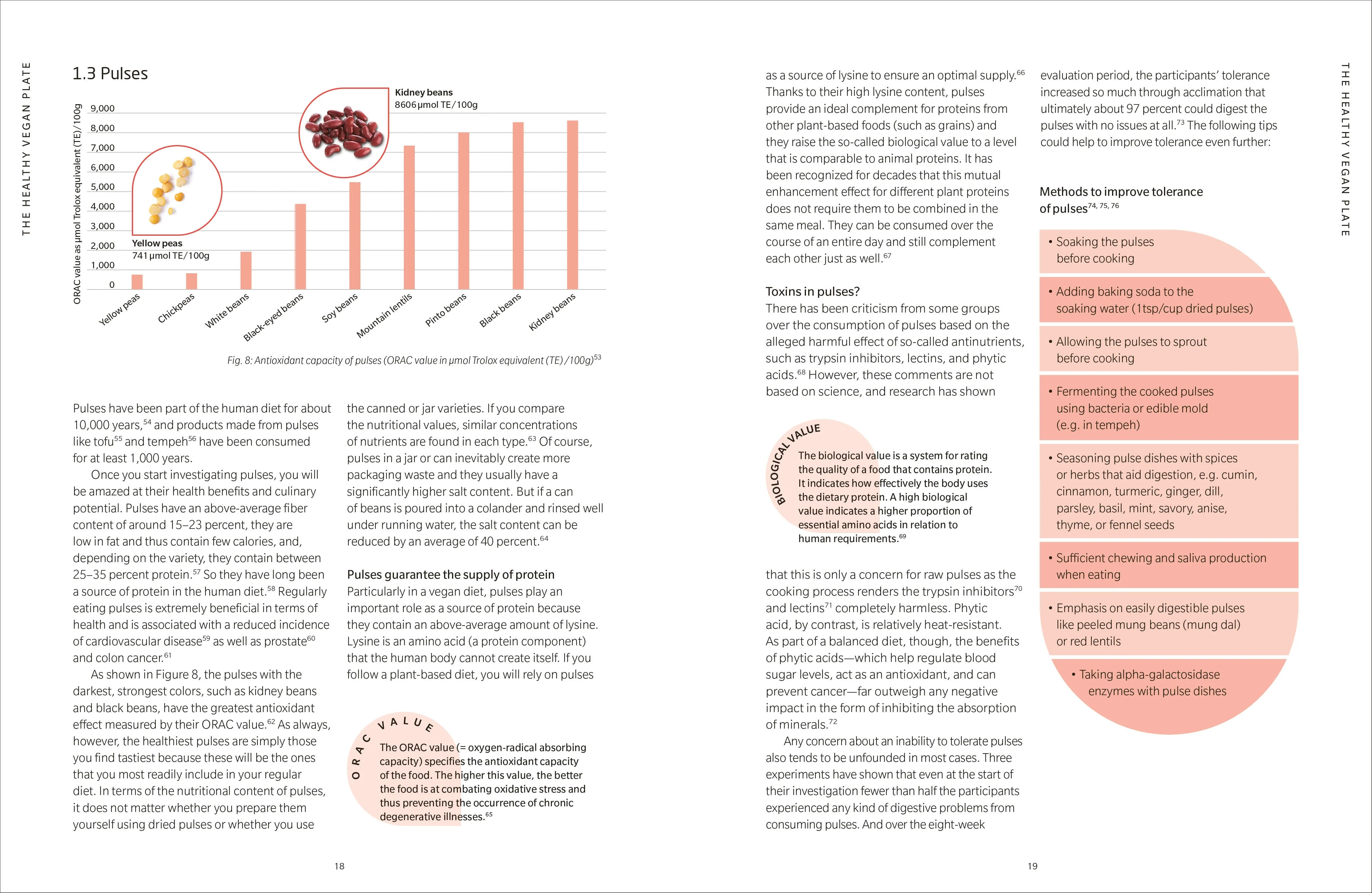 Healthy Vegan The Cookbook - Image 3