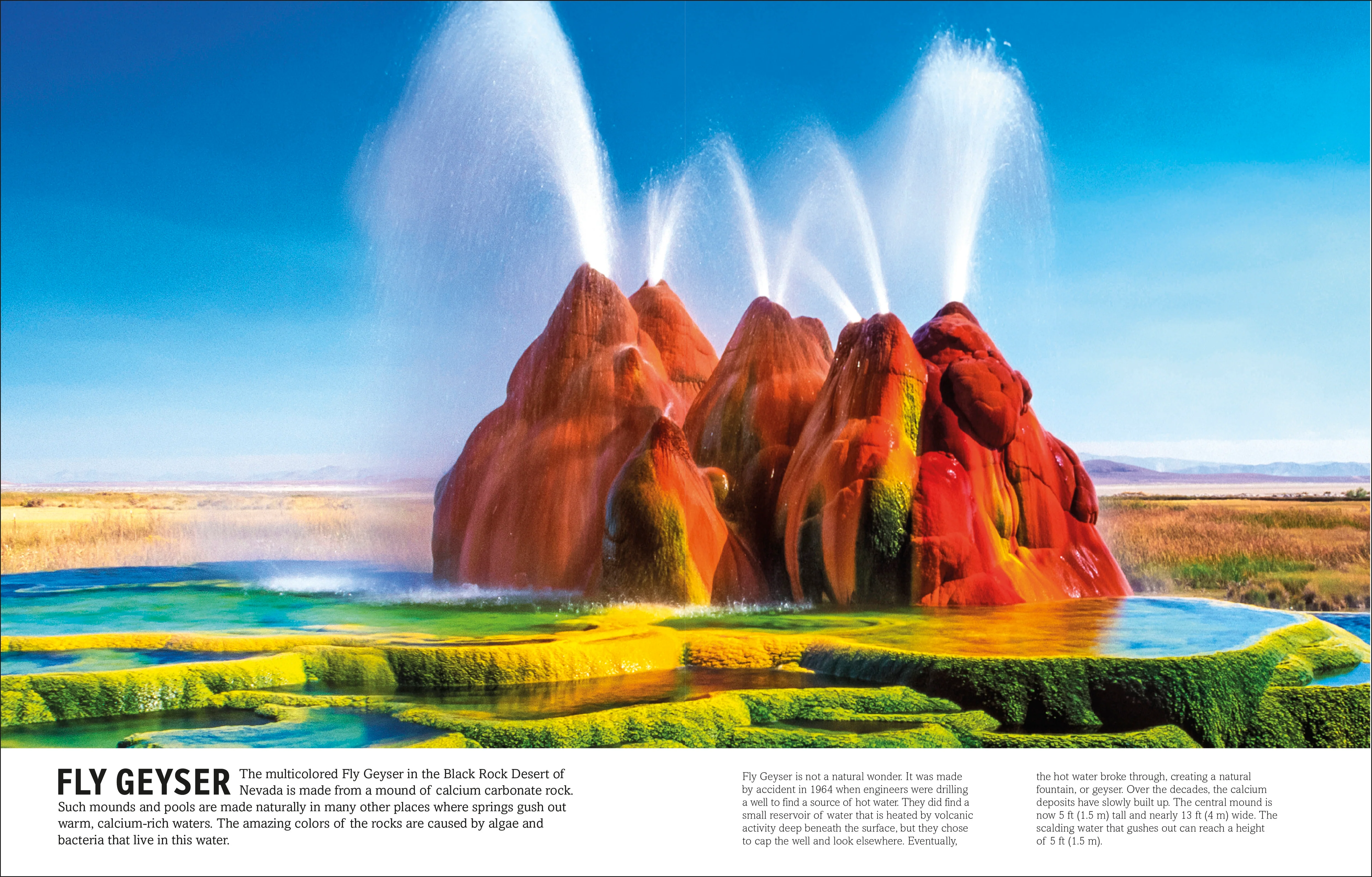 The Elements Book - Image 5