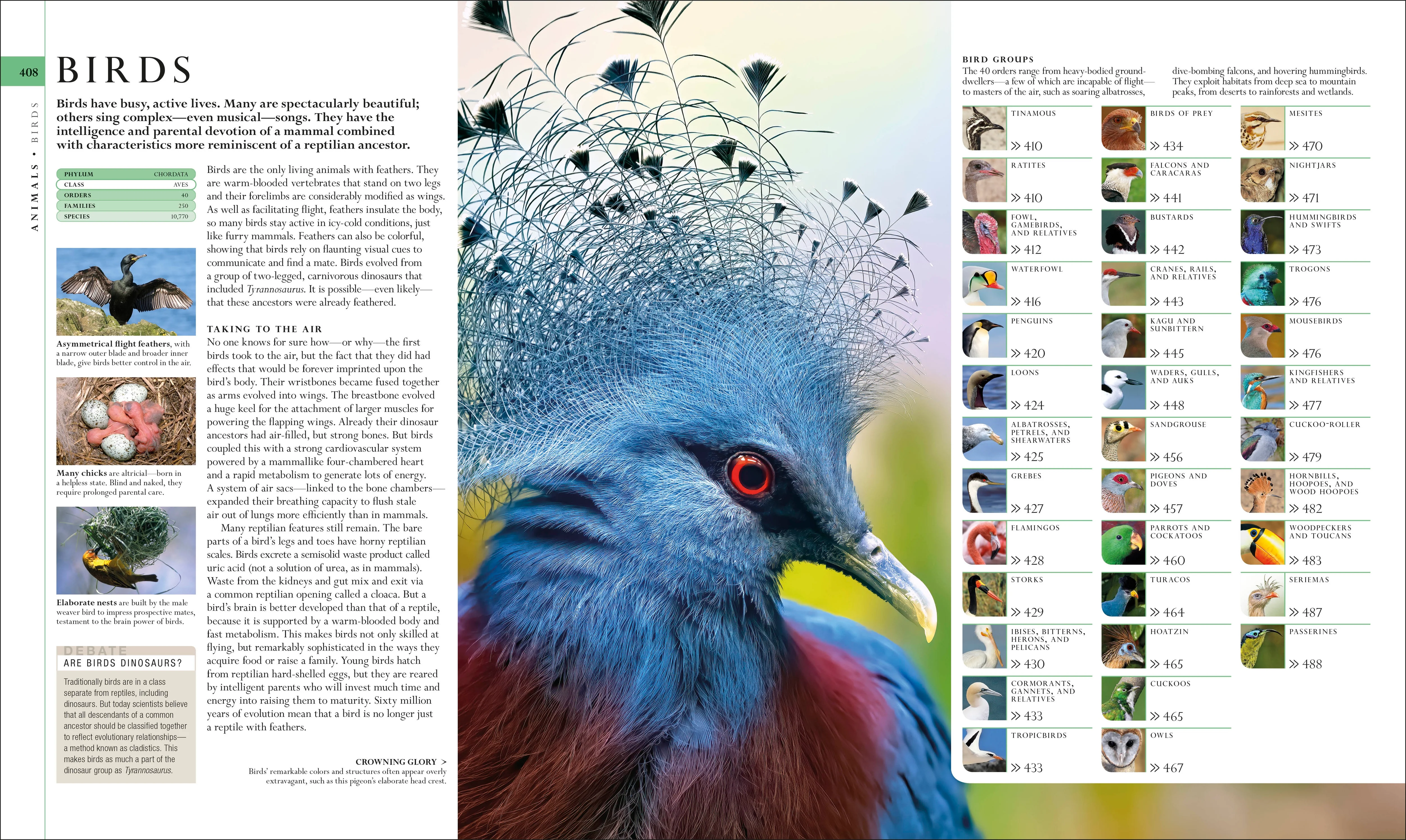 Natural History - Image 6