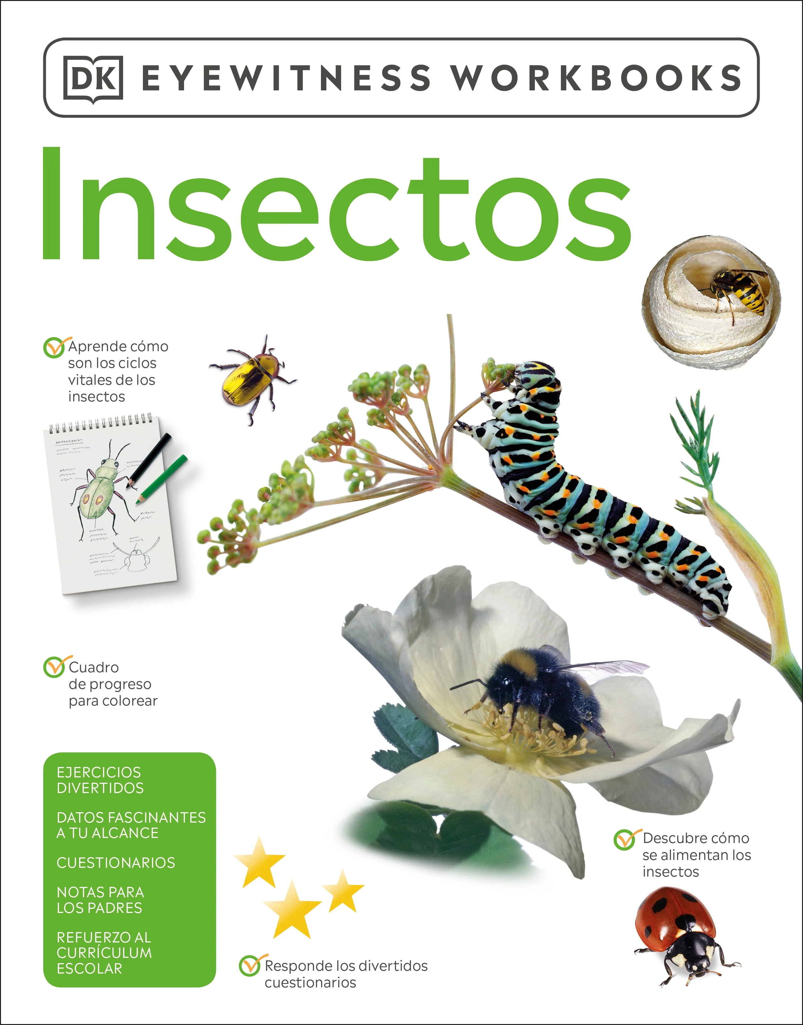 Insectos