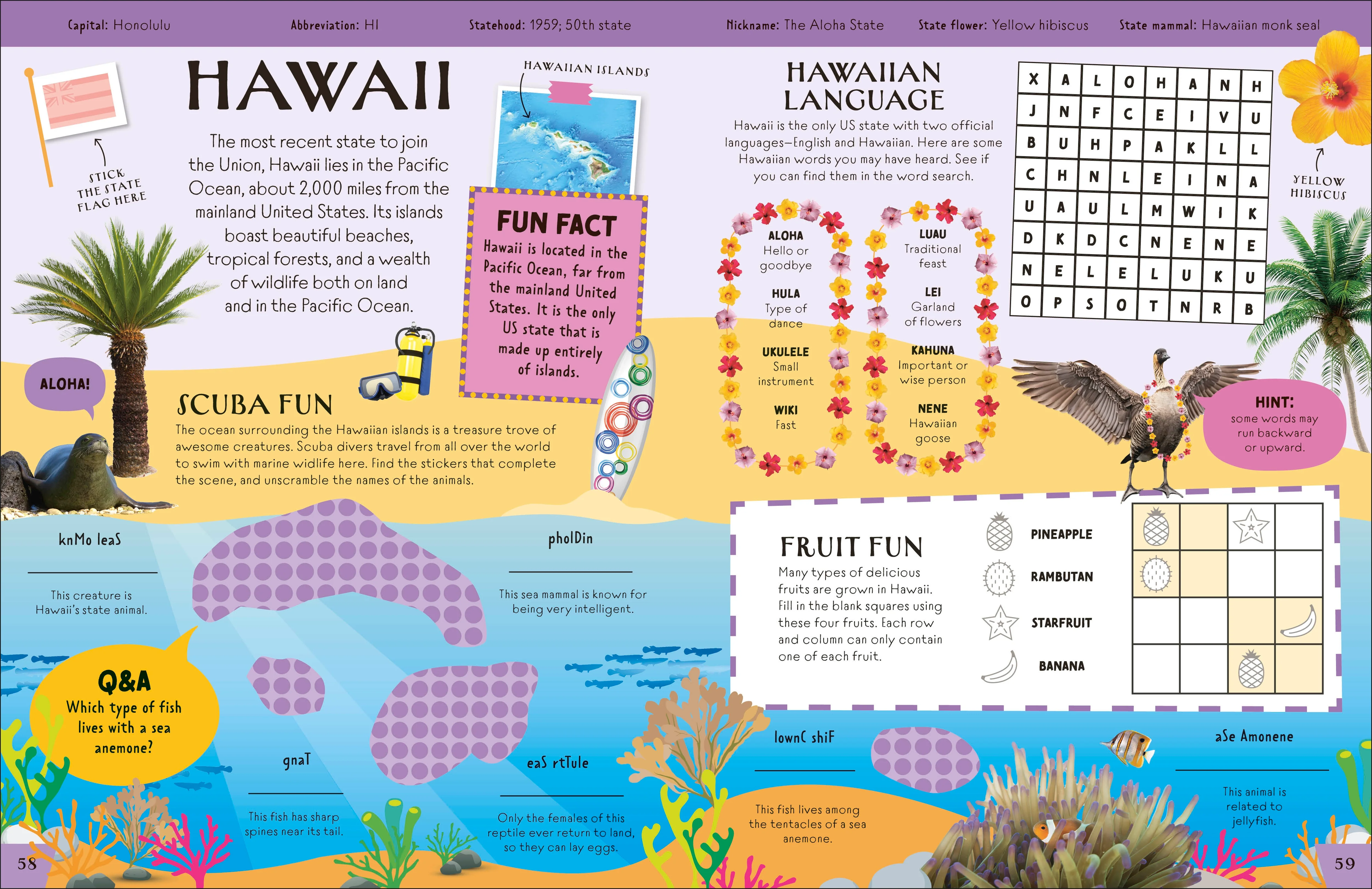 50 States Activity Book - Image 5