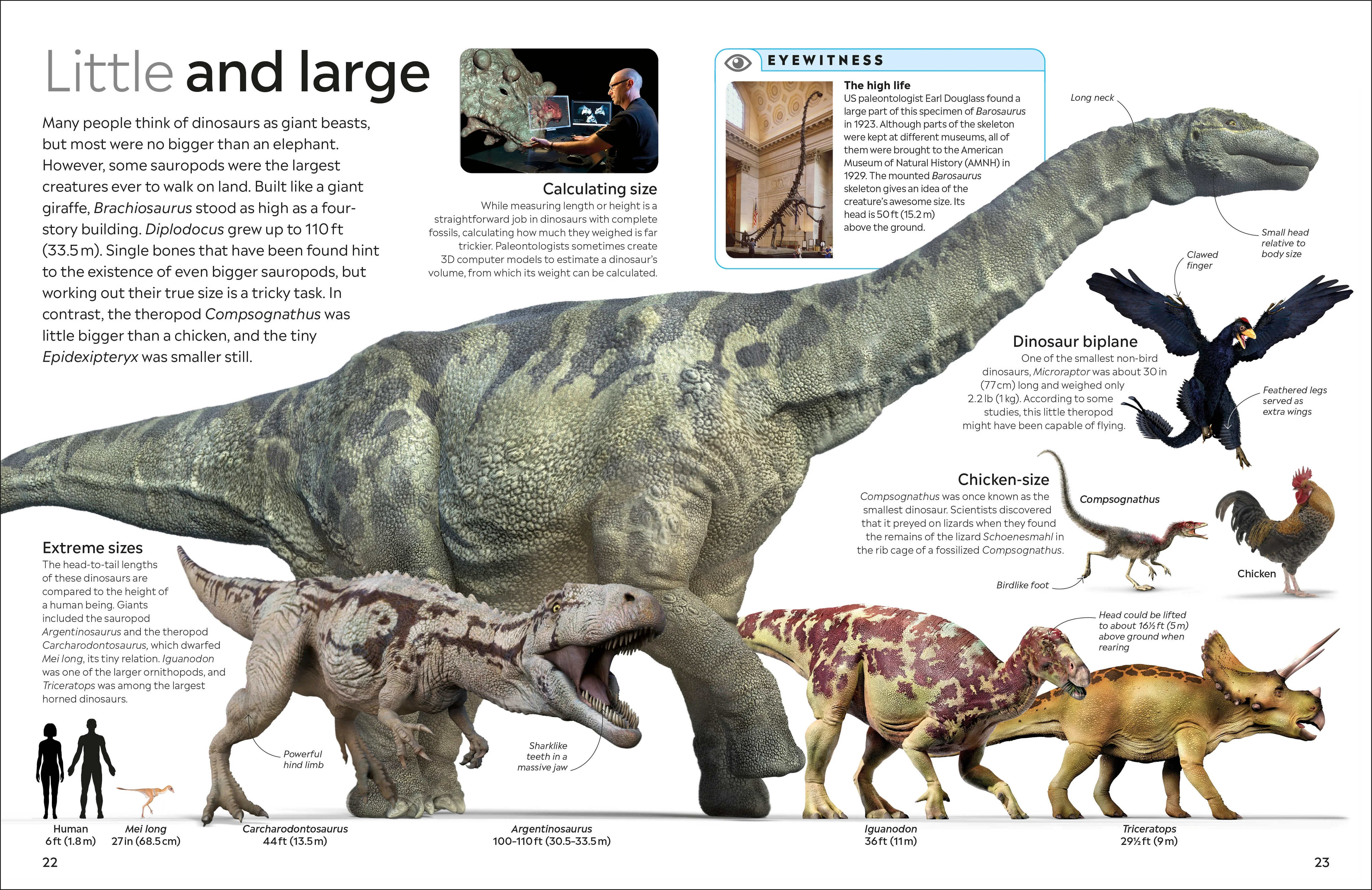 Dinosaur - Image 2