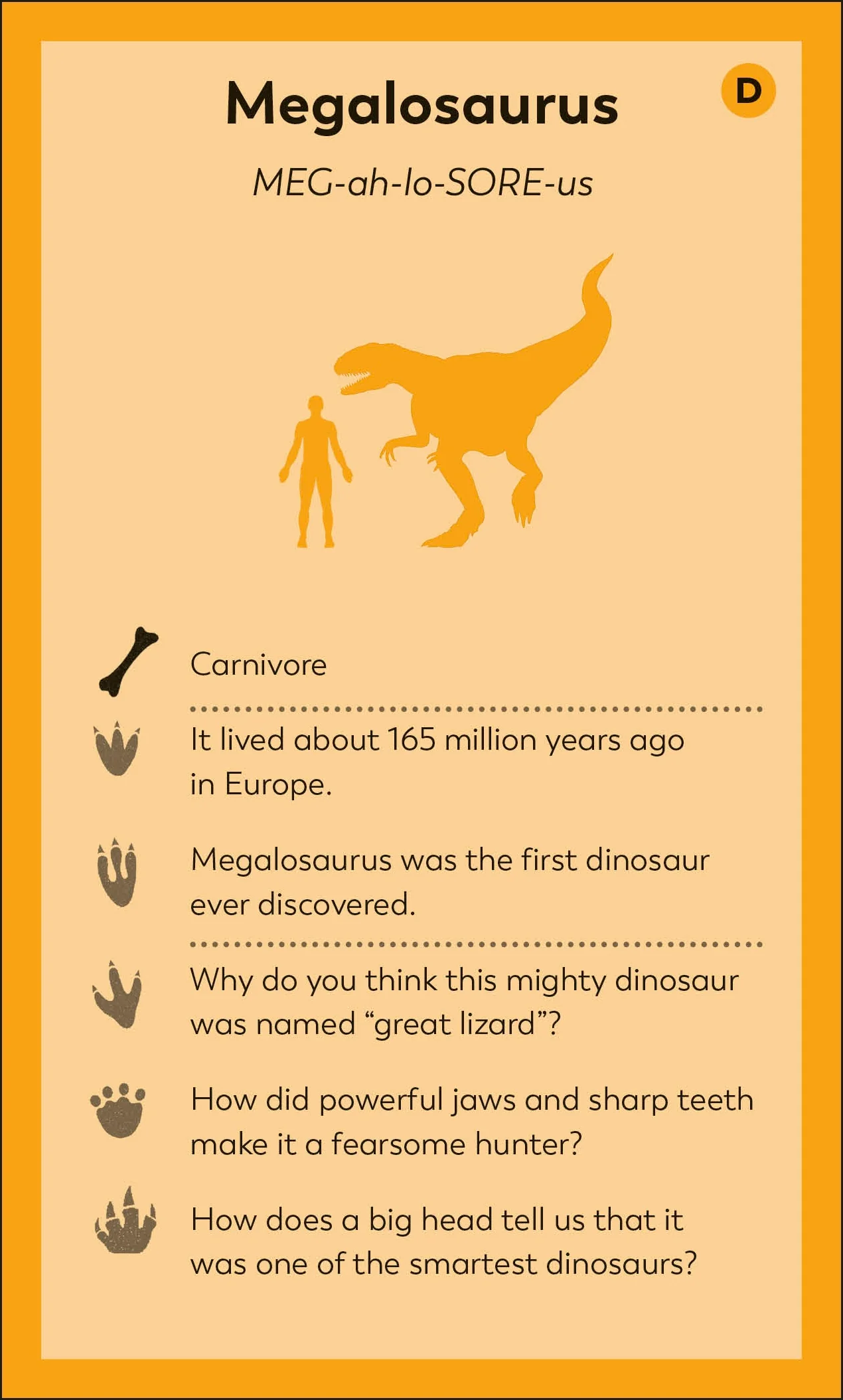 My First Dinosaur Flash Cards - Image 5