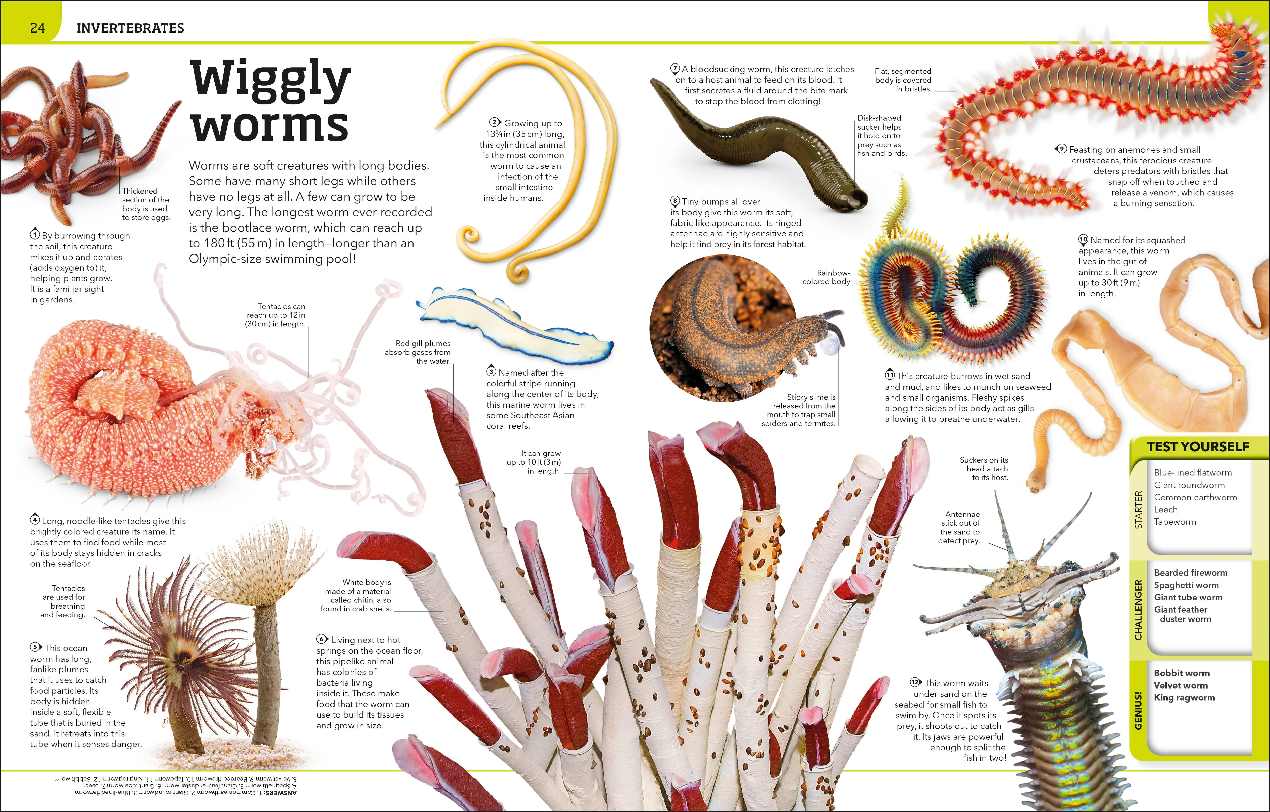 Animal Knowledge Genius! - Image 3