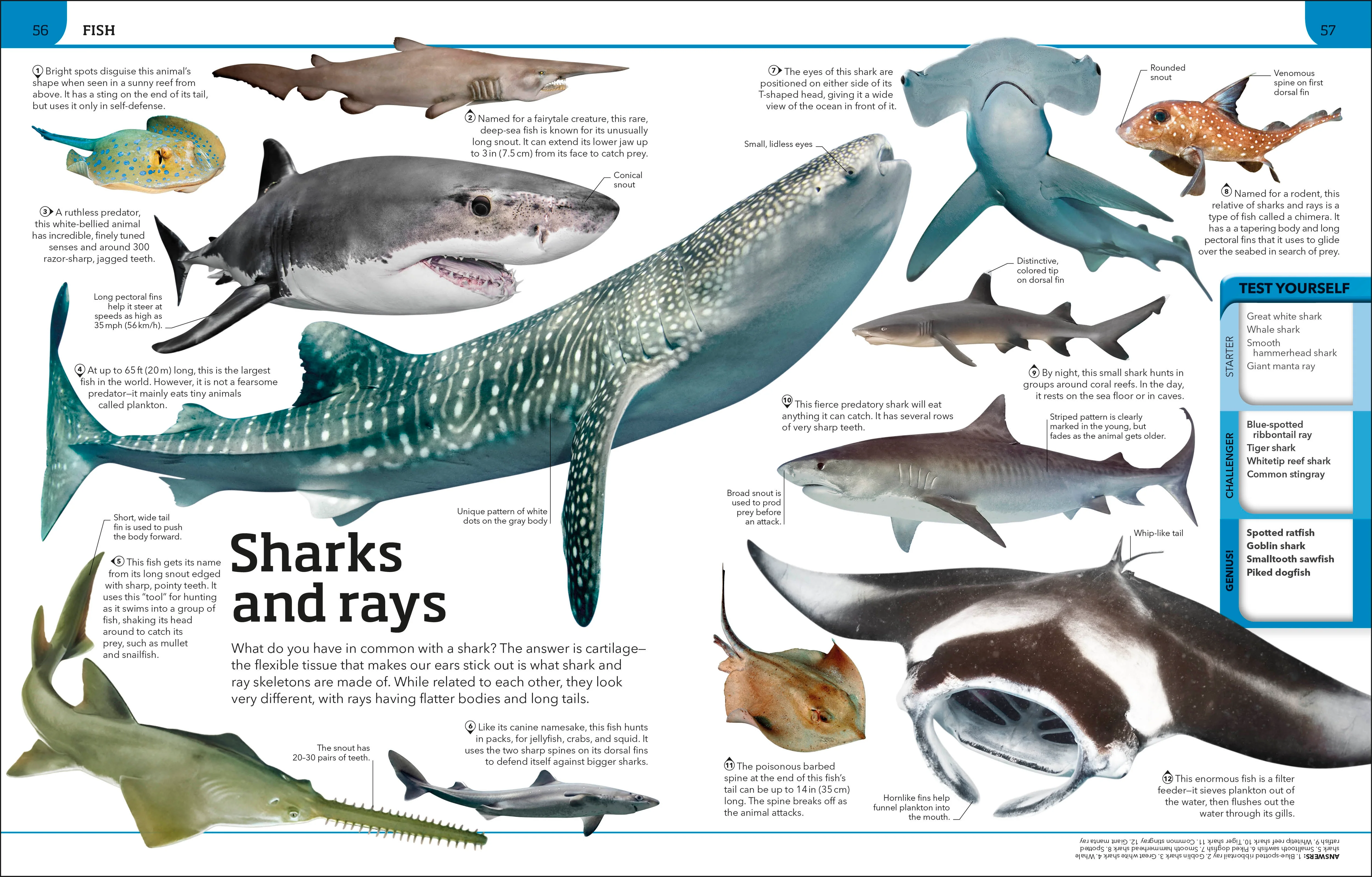 Animal Knowledge Genius! - Image 5