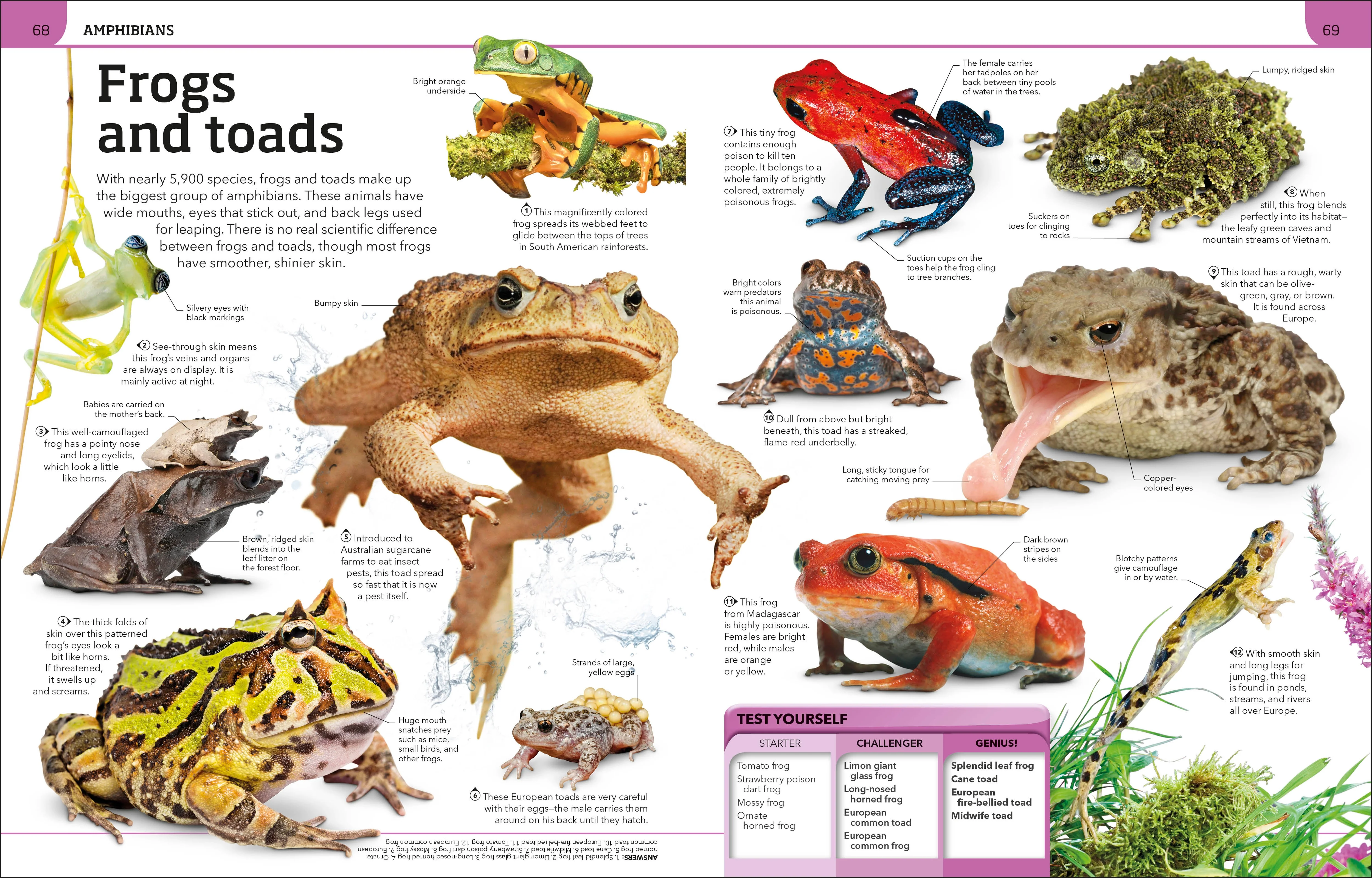 Animal Knowledge Genius! - Image 6